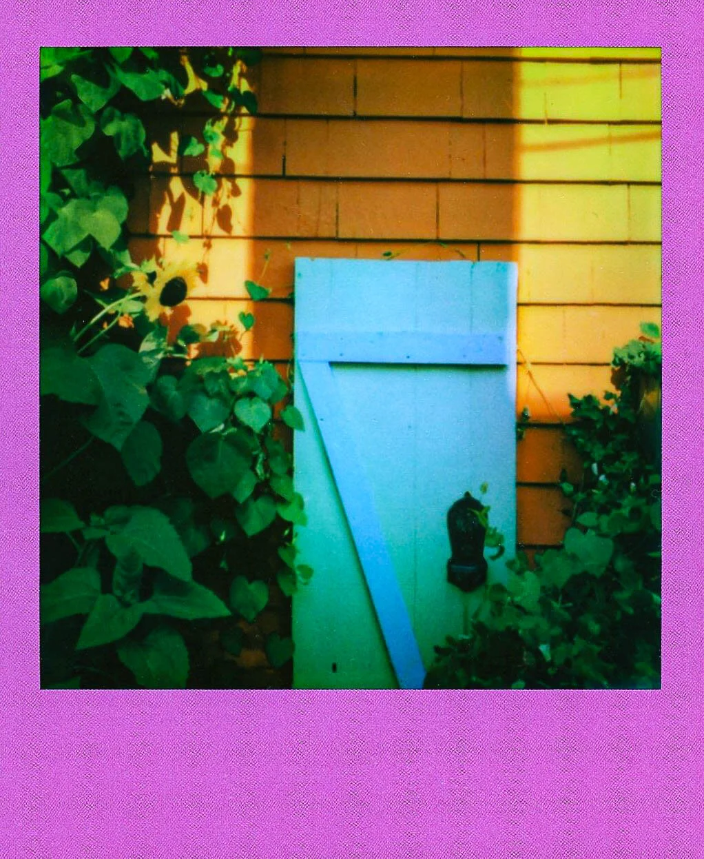 polaroidlabs-2.JPG