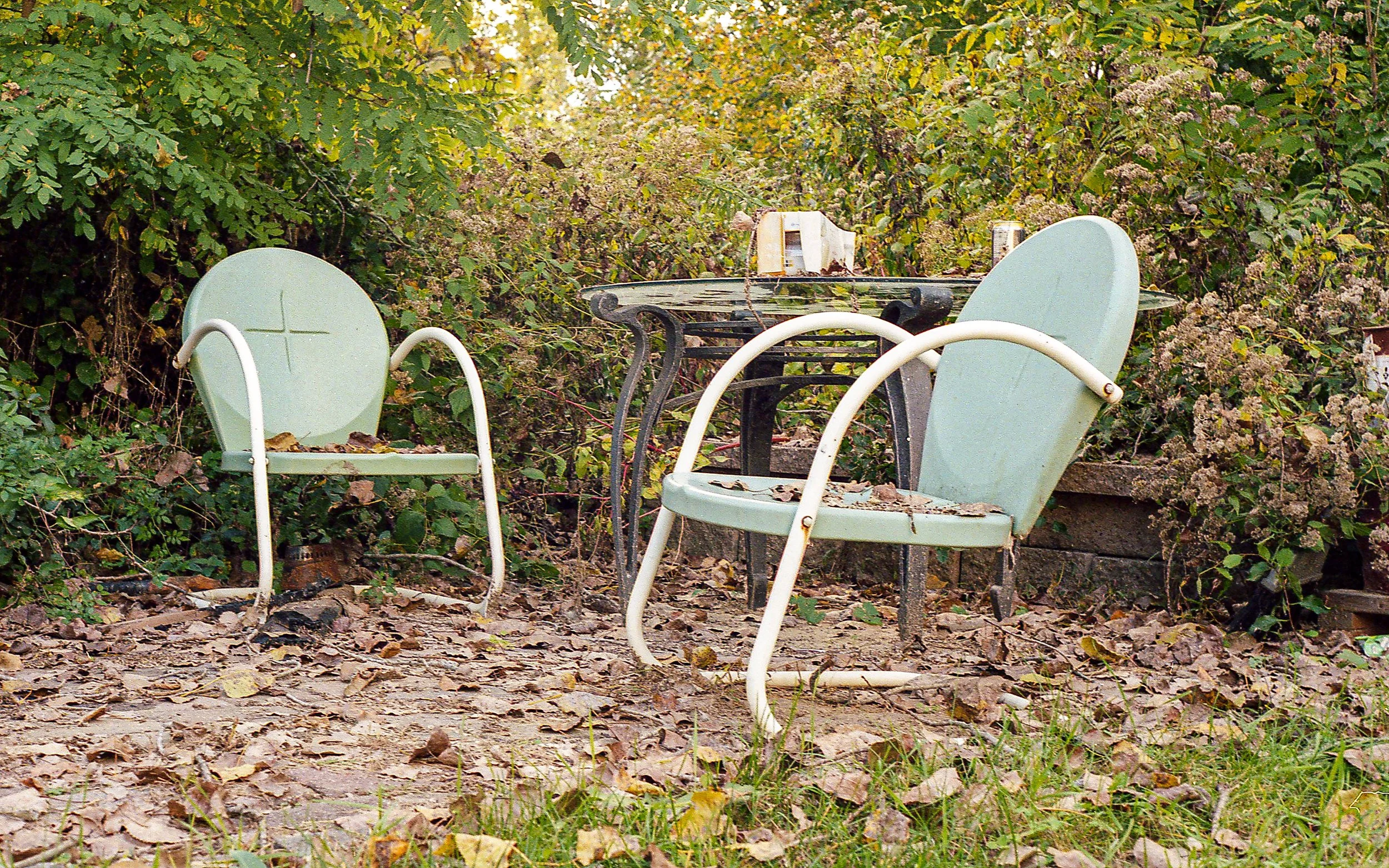 pumpkinpatch-4.JPG