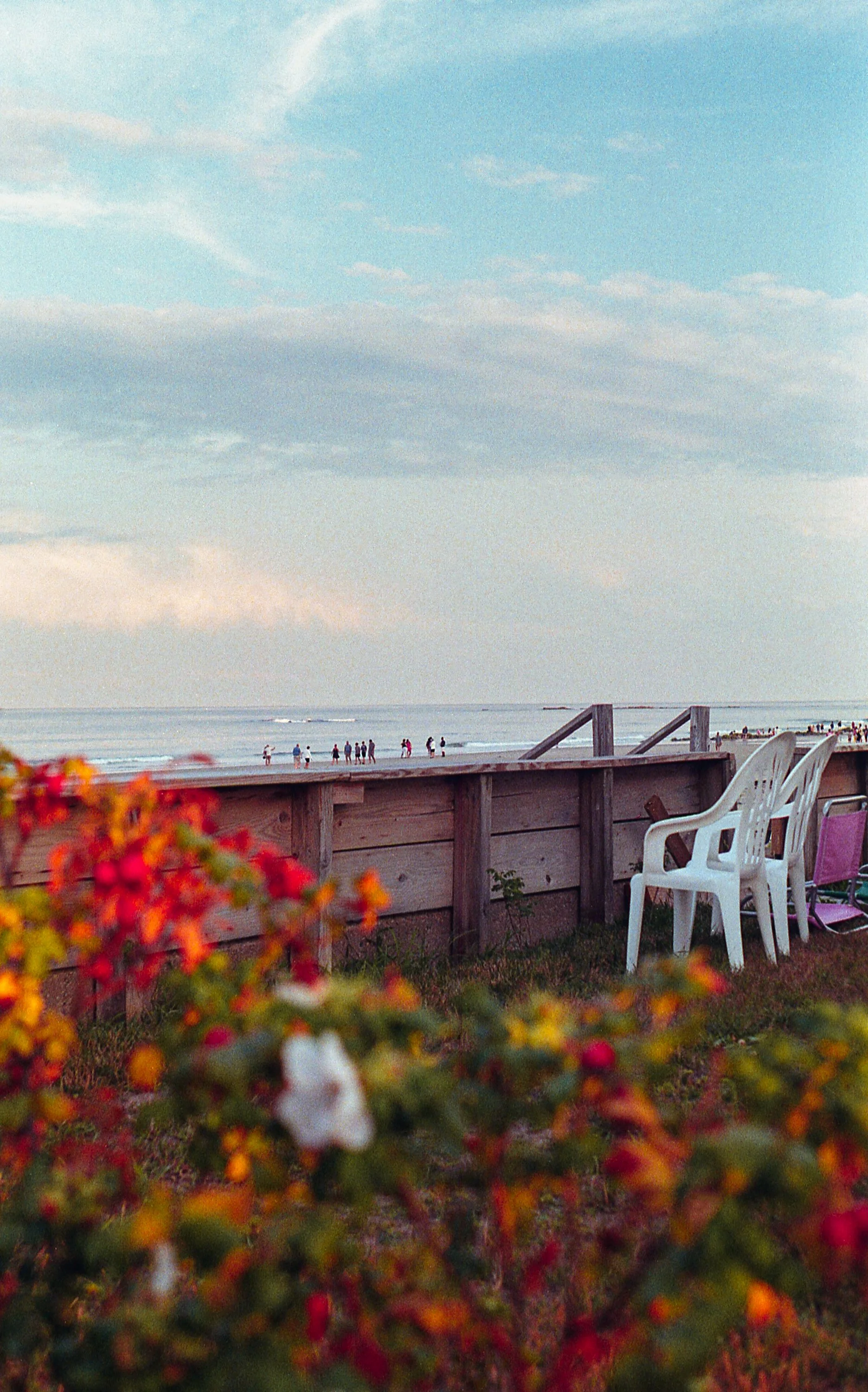 Maine summer website 1-1.jpg