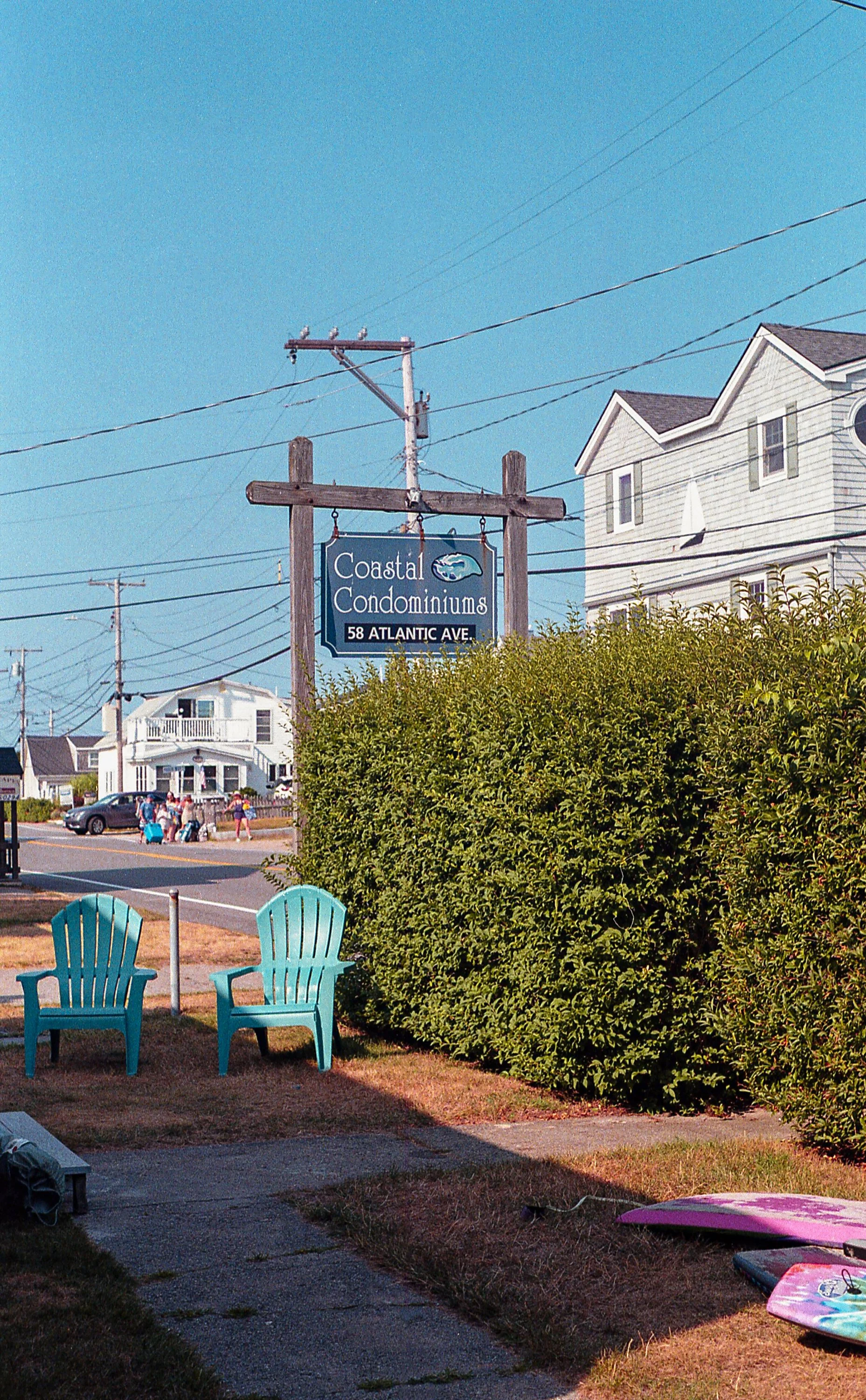 Maine summer website 3-1.jpg