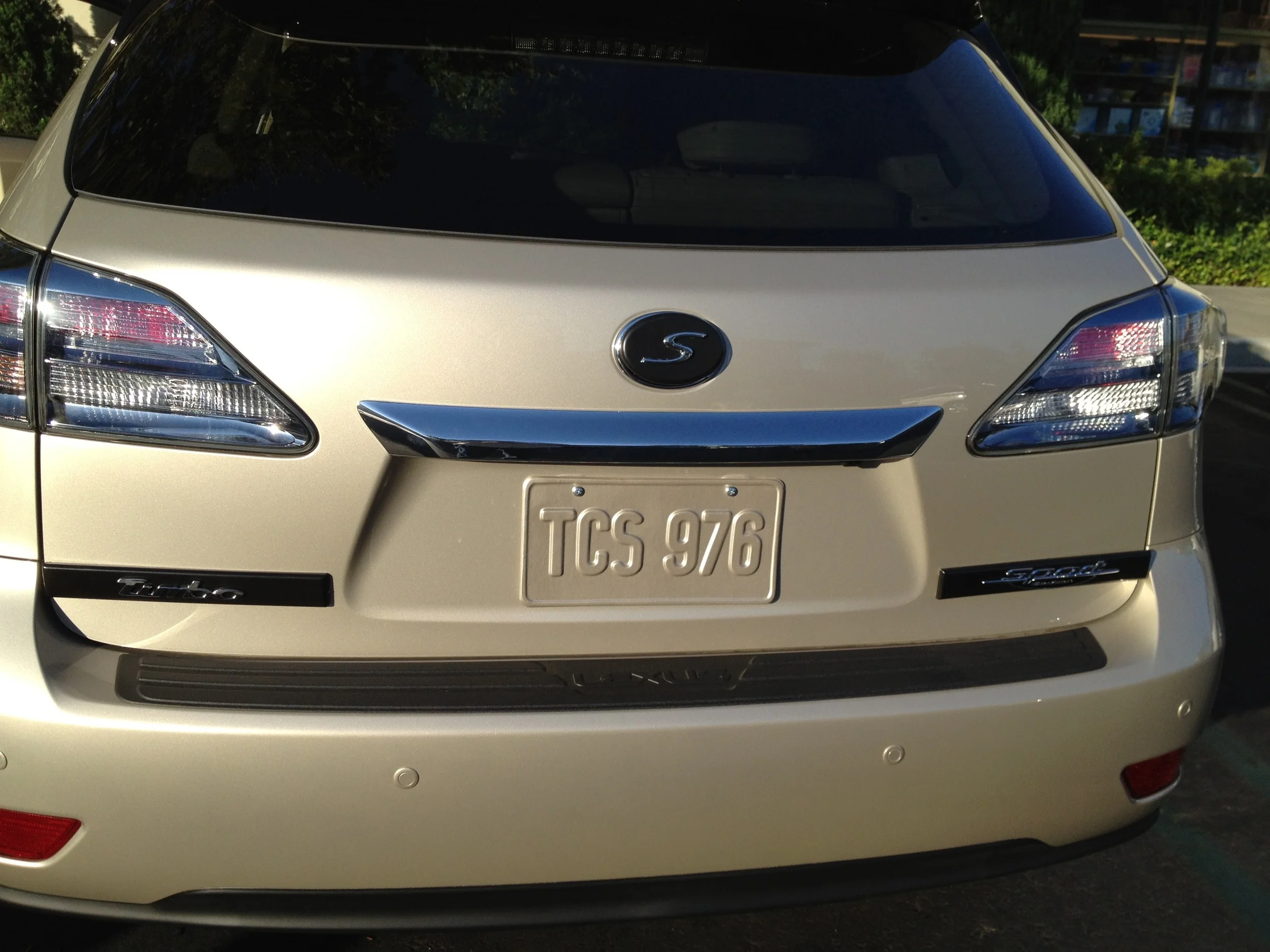 Lexsus OV S 45 3 + R T 10 15IMG_0658.jpg