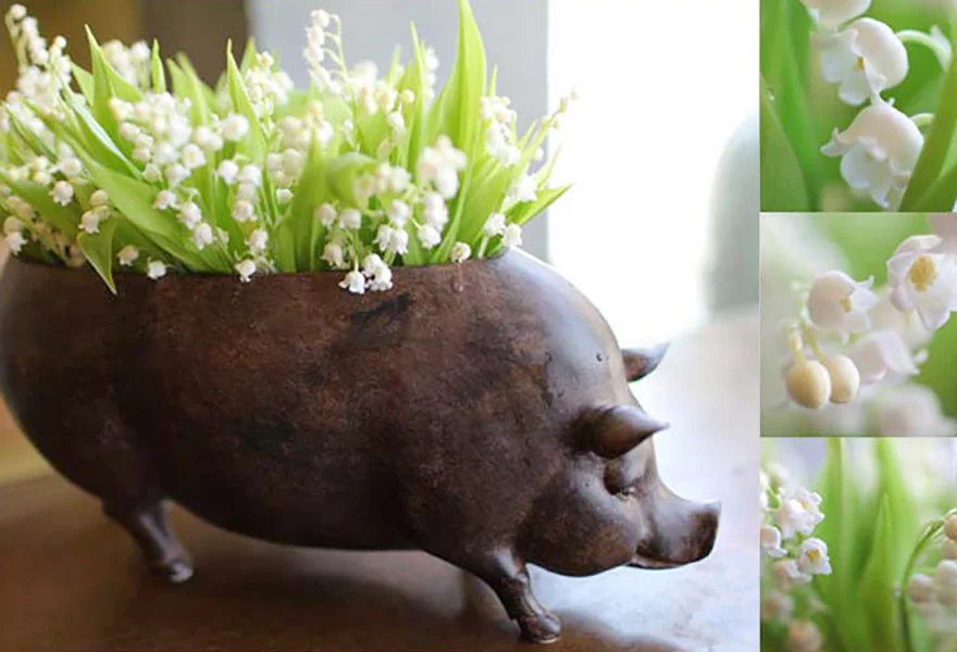 florali-Nspring4.jpg