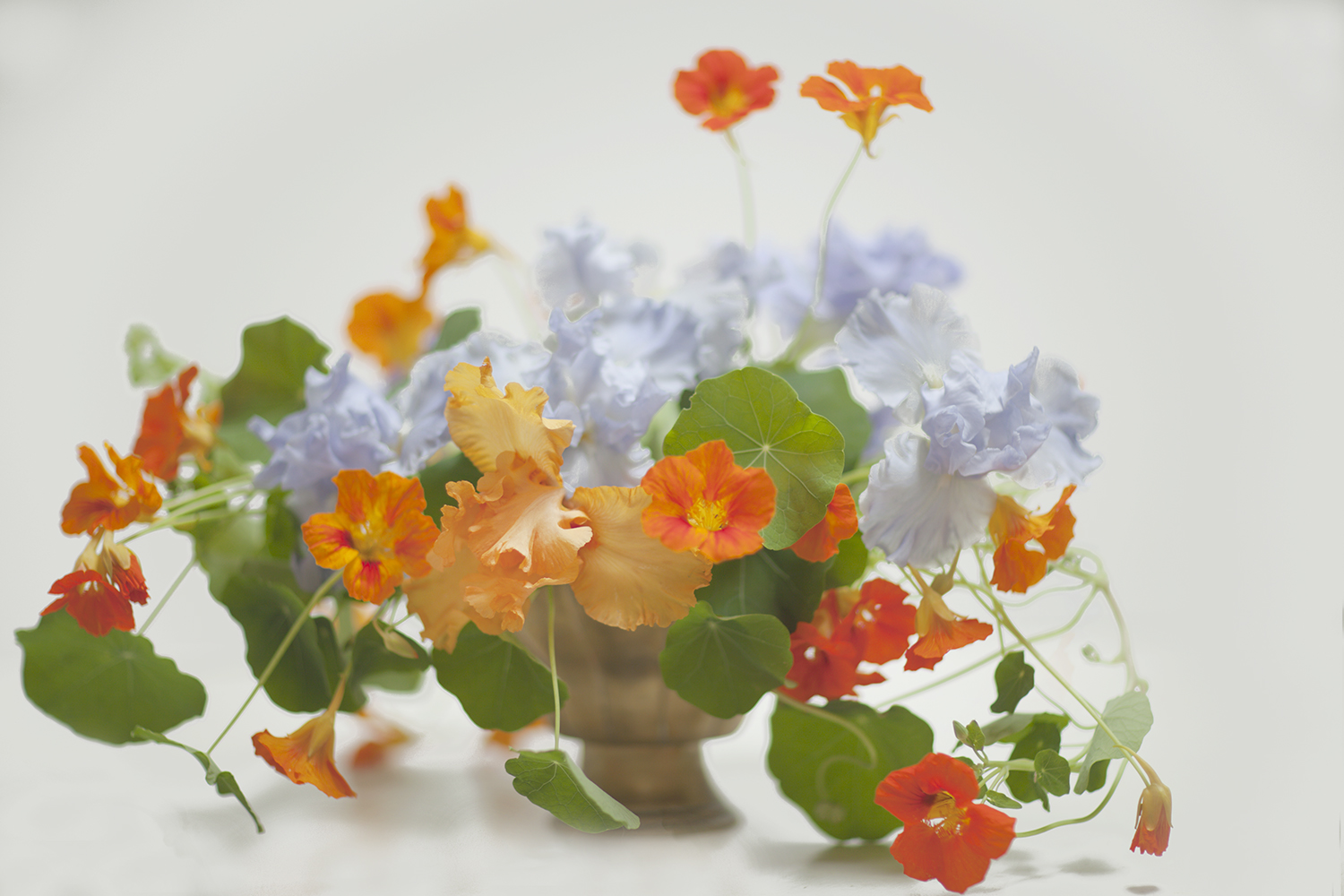 floraliss_spring1.jpg
