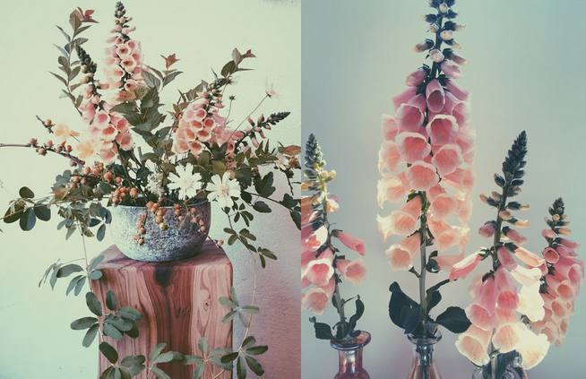 Foxglove, white cosmos, honeysuckle, ninebark and akebia freshly cut from the garden.
