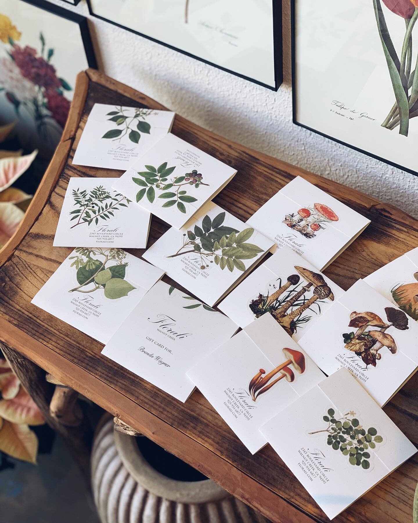 Stepping up our stationery game 🍄 🌿