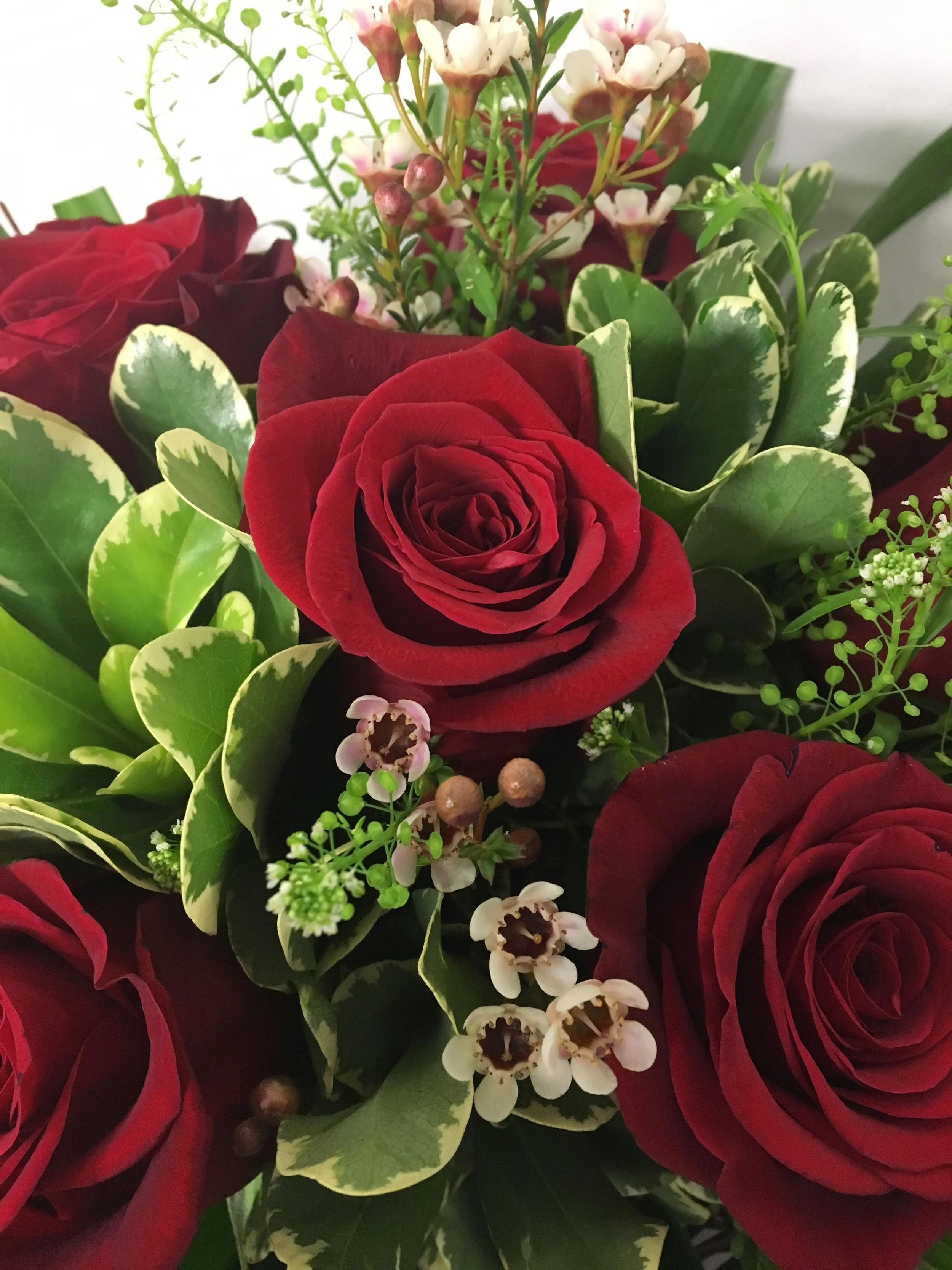 Half Dozen red roses for delivery bt florists in Cork City