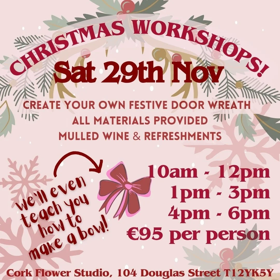 Christmas Workshops.jpg