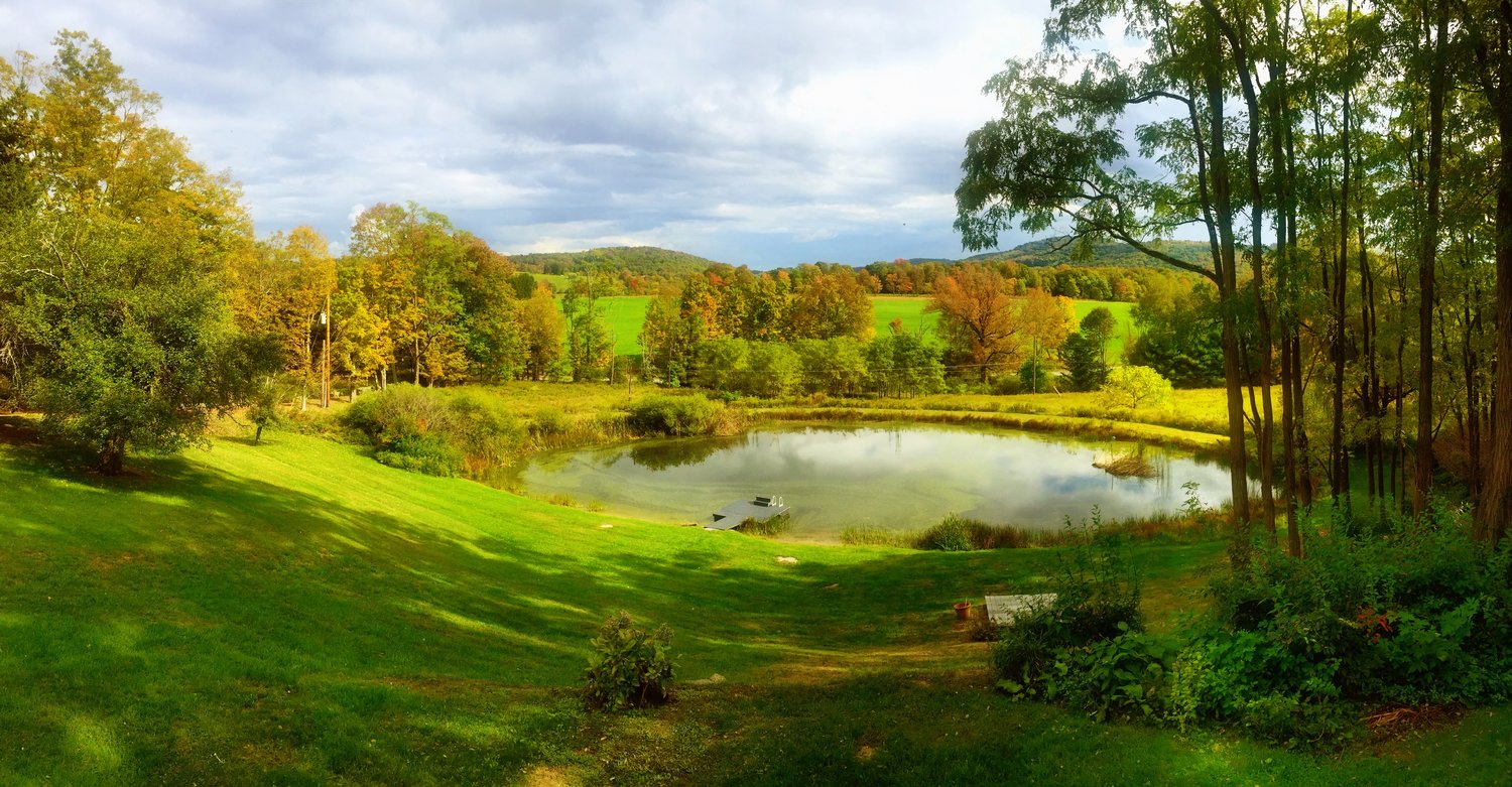 Pond+Wide.jpg