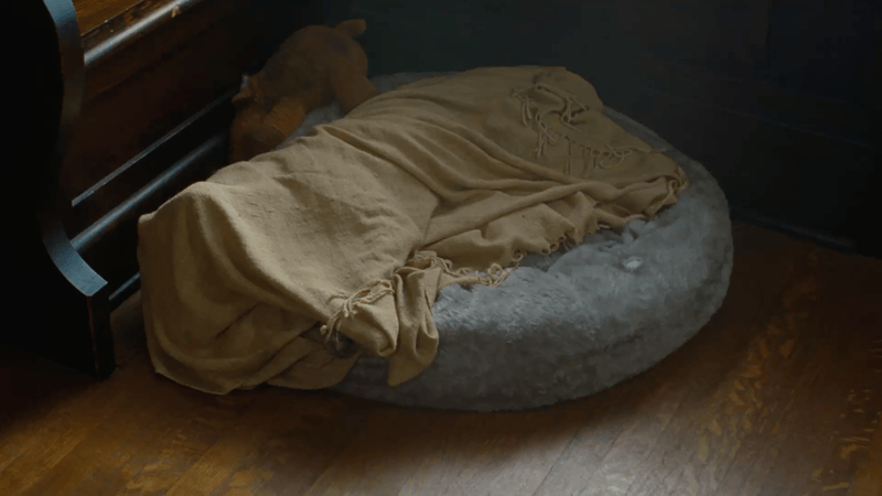 The Farmer's Dog - Delivery Day