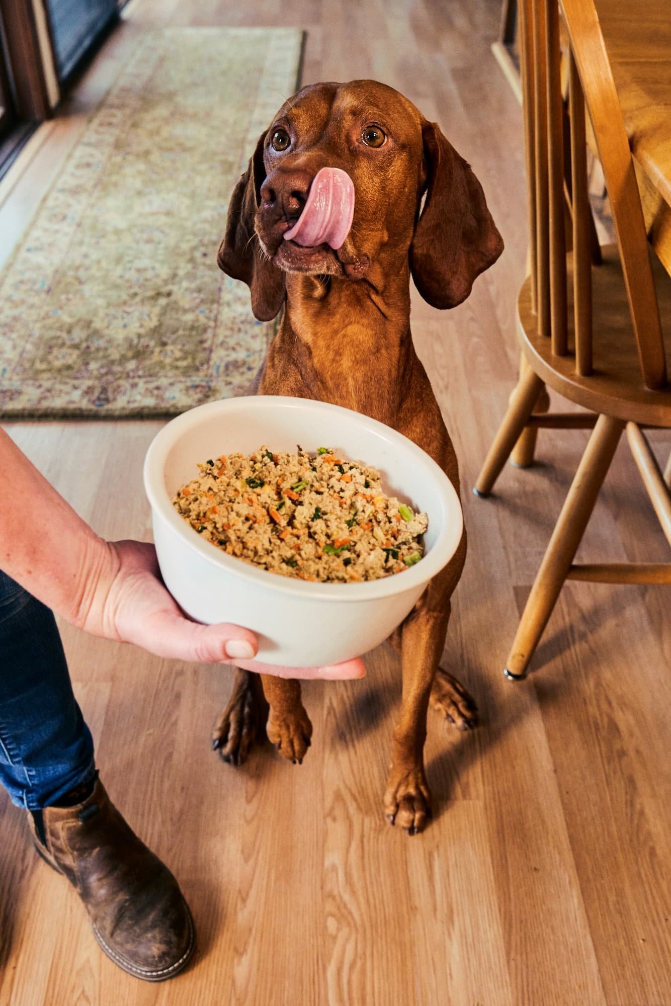 Dog-Licking-Lips-Looking-at-Bowl-of-The-Farmers-Dog-Fresh-Food.jpg