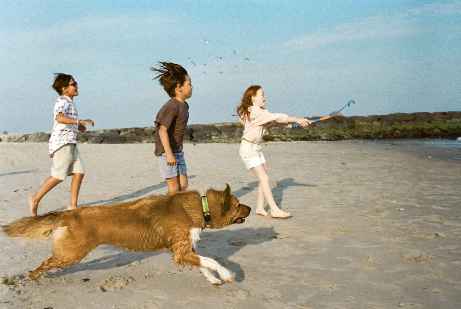 TFD+Film+Selects+-+Lifestyle-113.webp