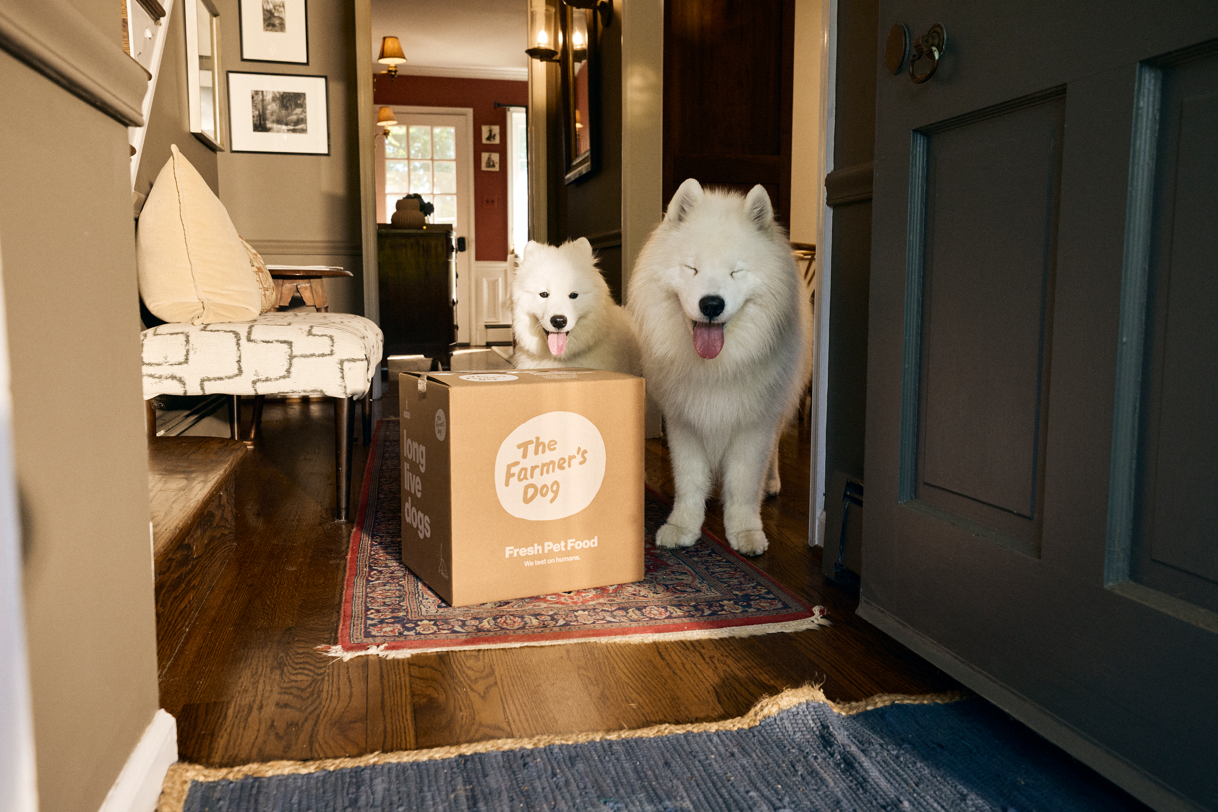 The Farmer's Dog - Brand Photography Refresh