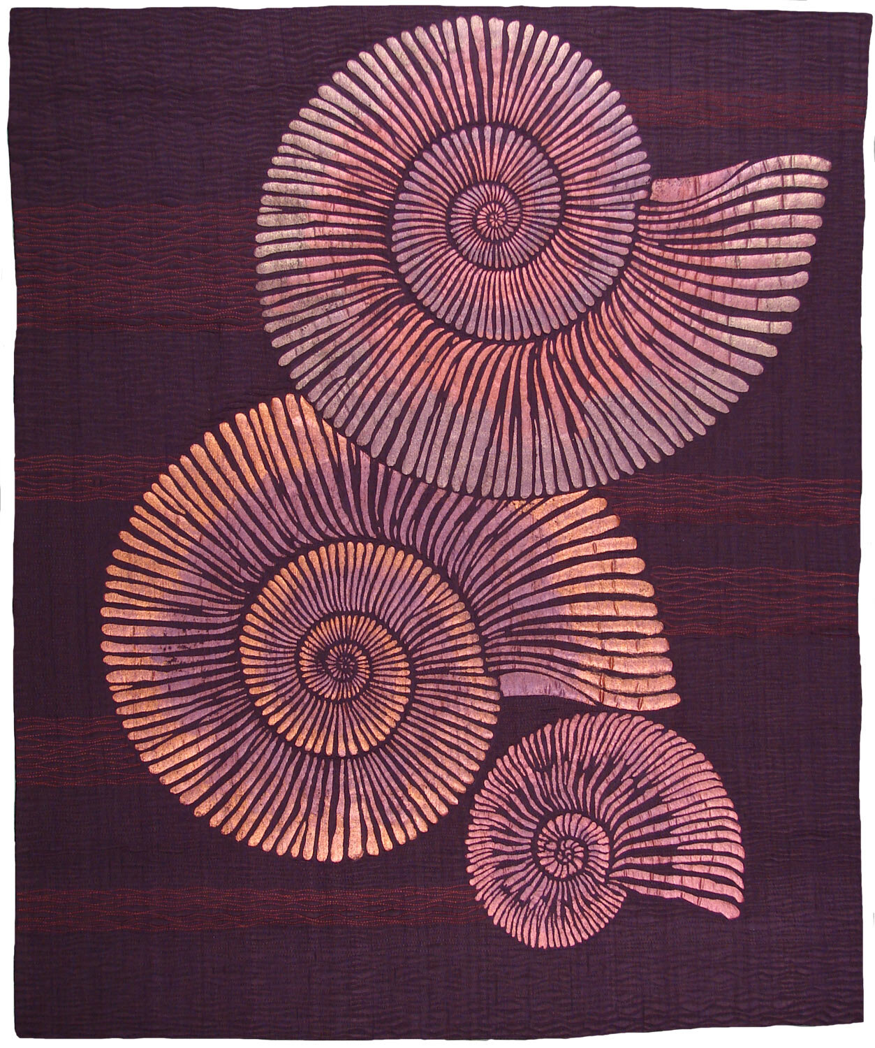 Three Ammonites