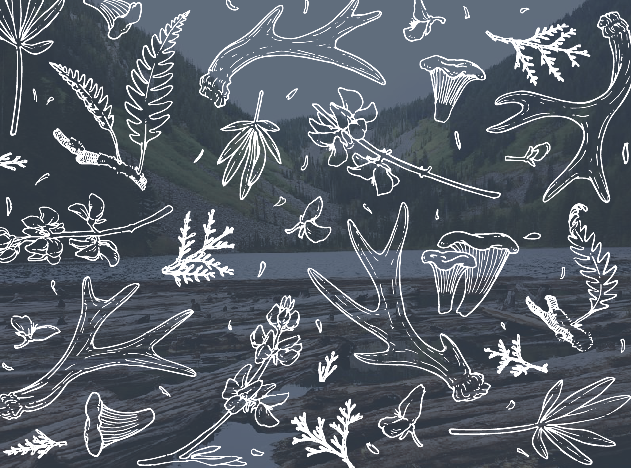 FIsher_WoodPattern2.png