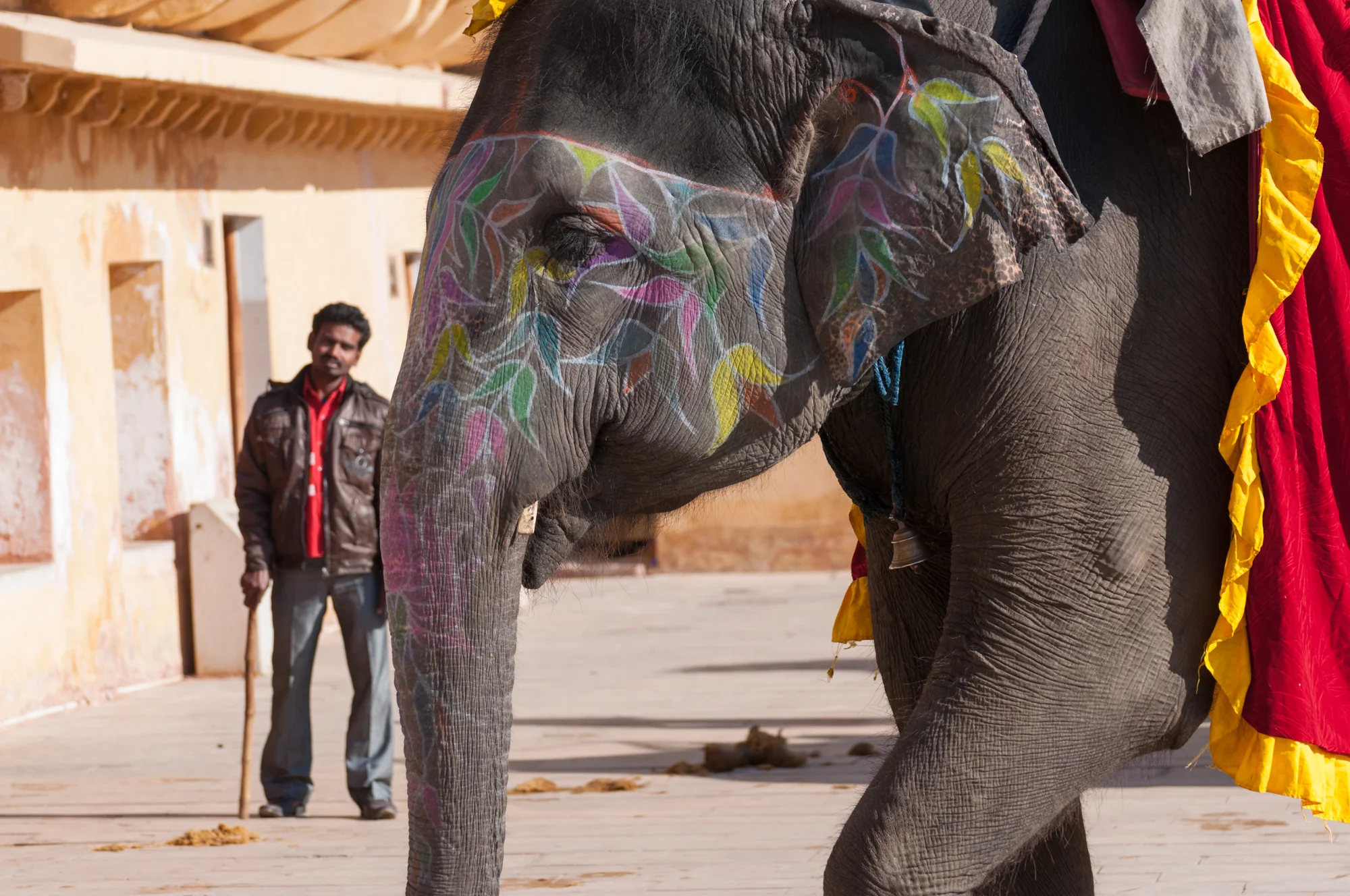 DSC_0032Jaipur 01192013.jpg