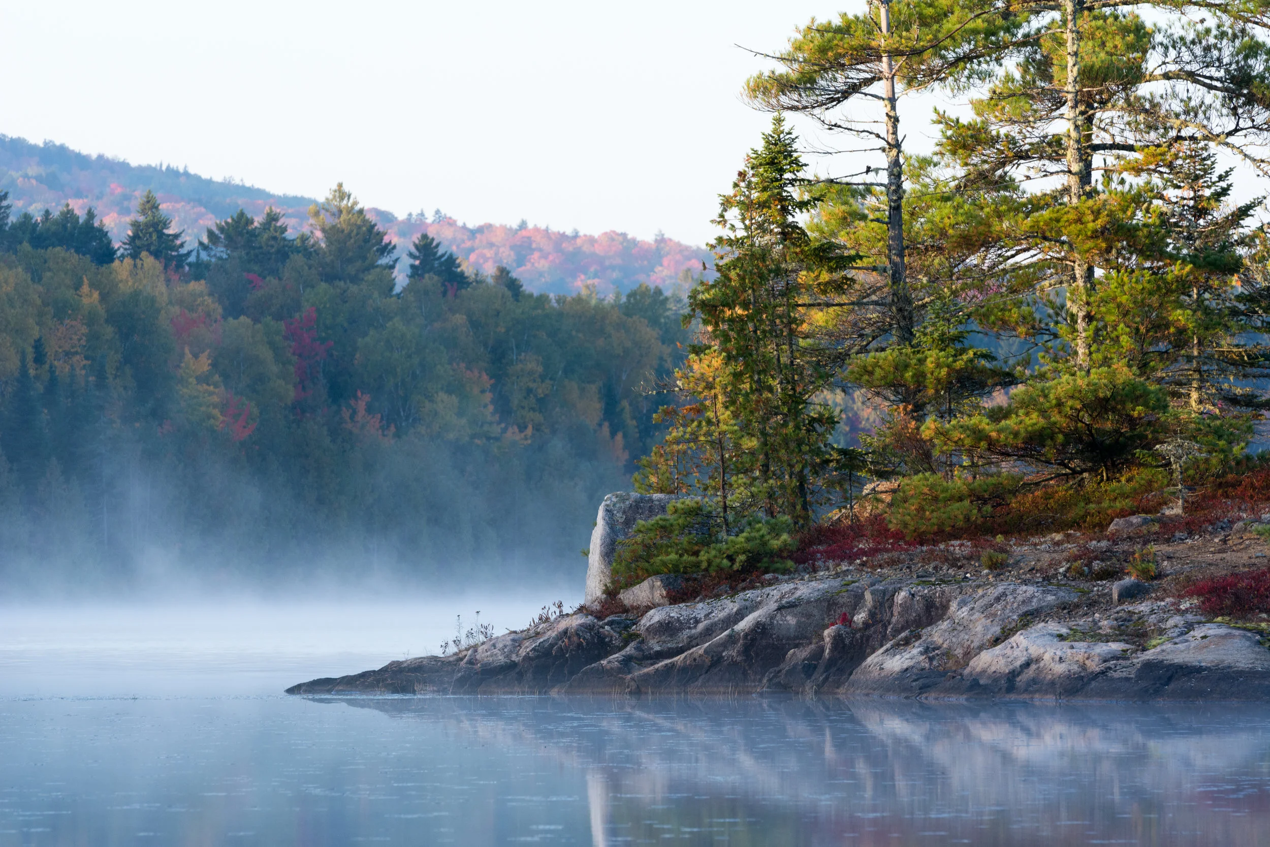 _DSC5732.jpg