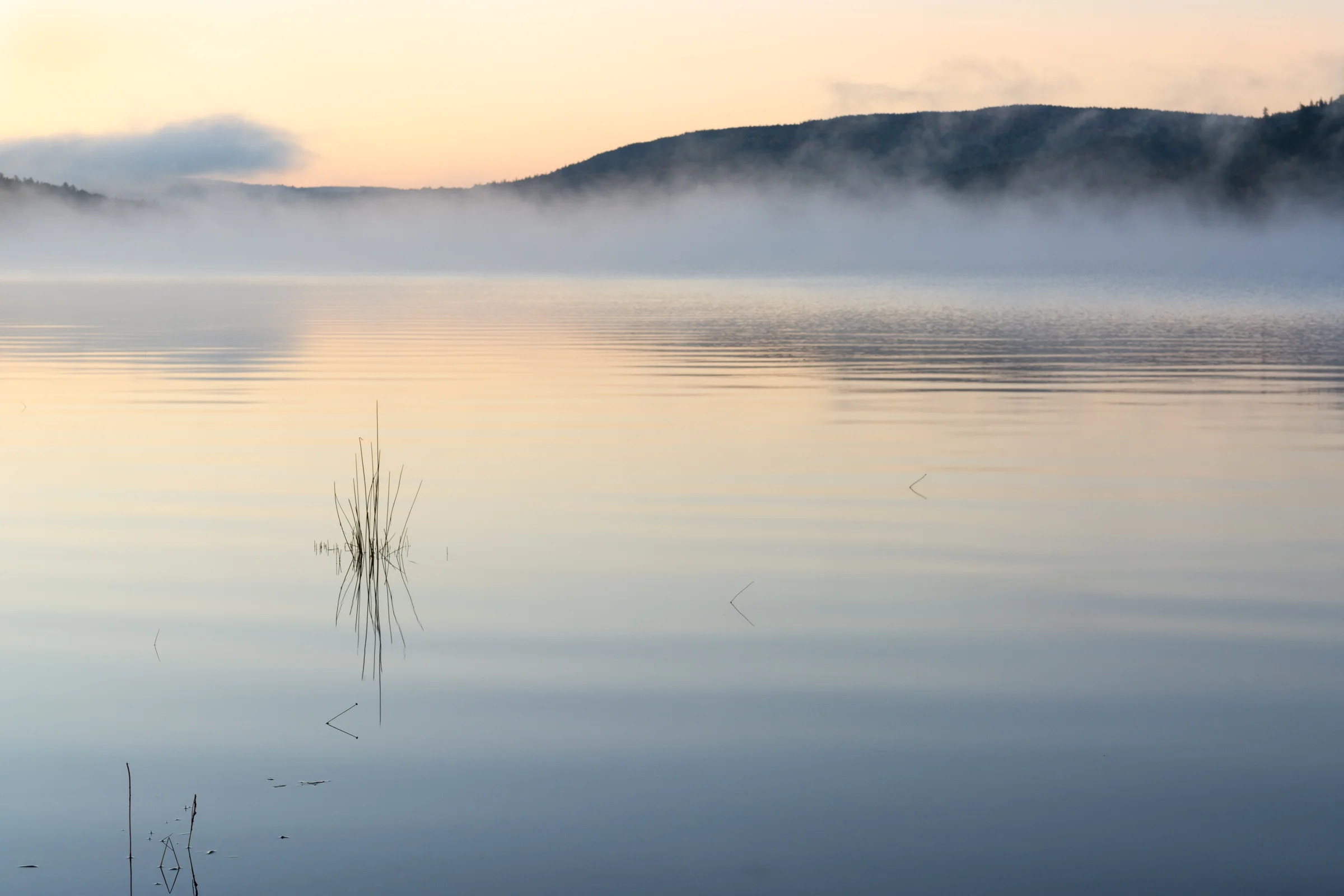 _DSC4820.jpg