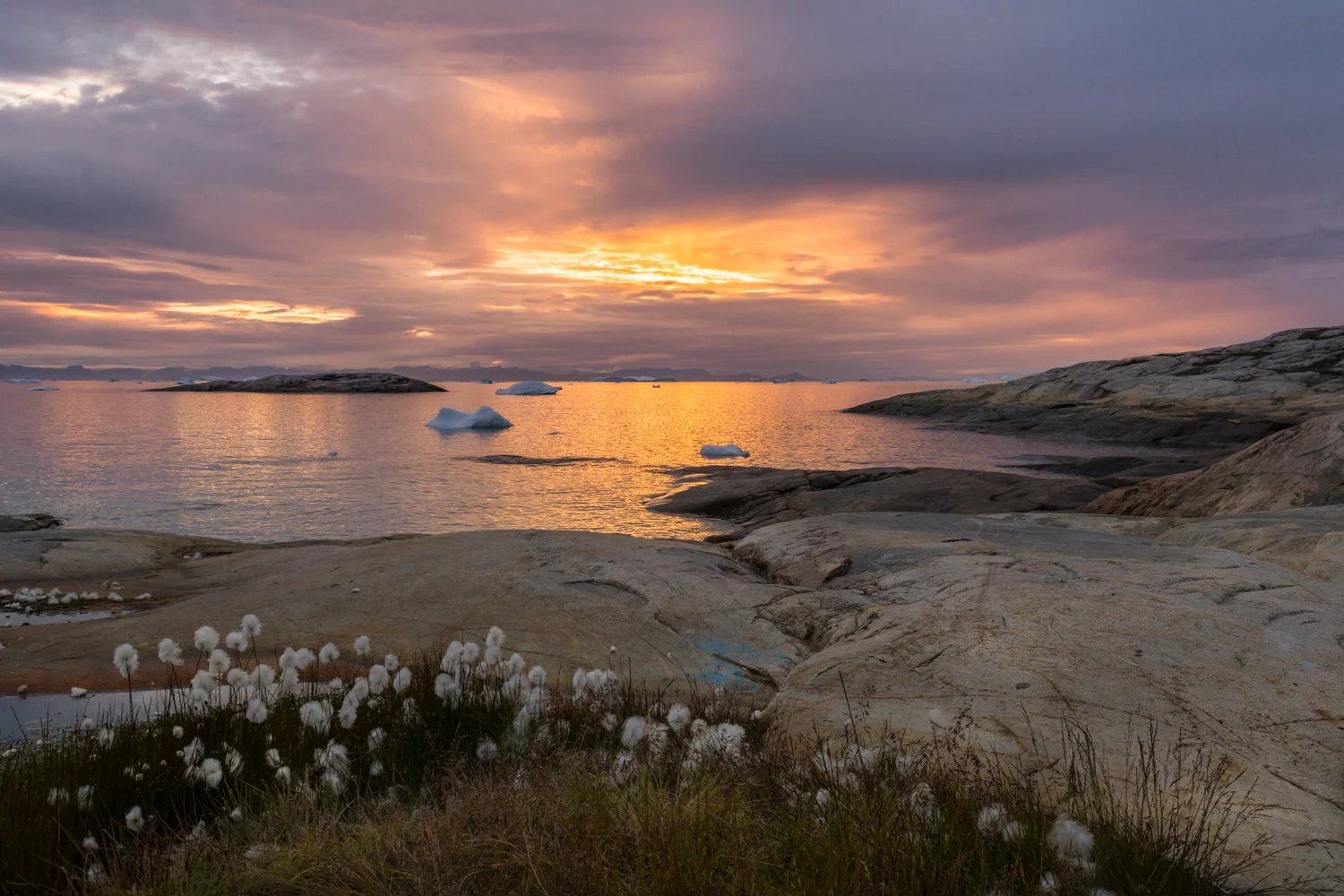 Greenland-12.jpg