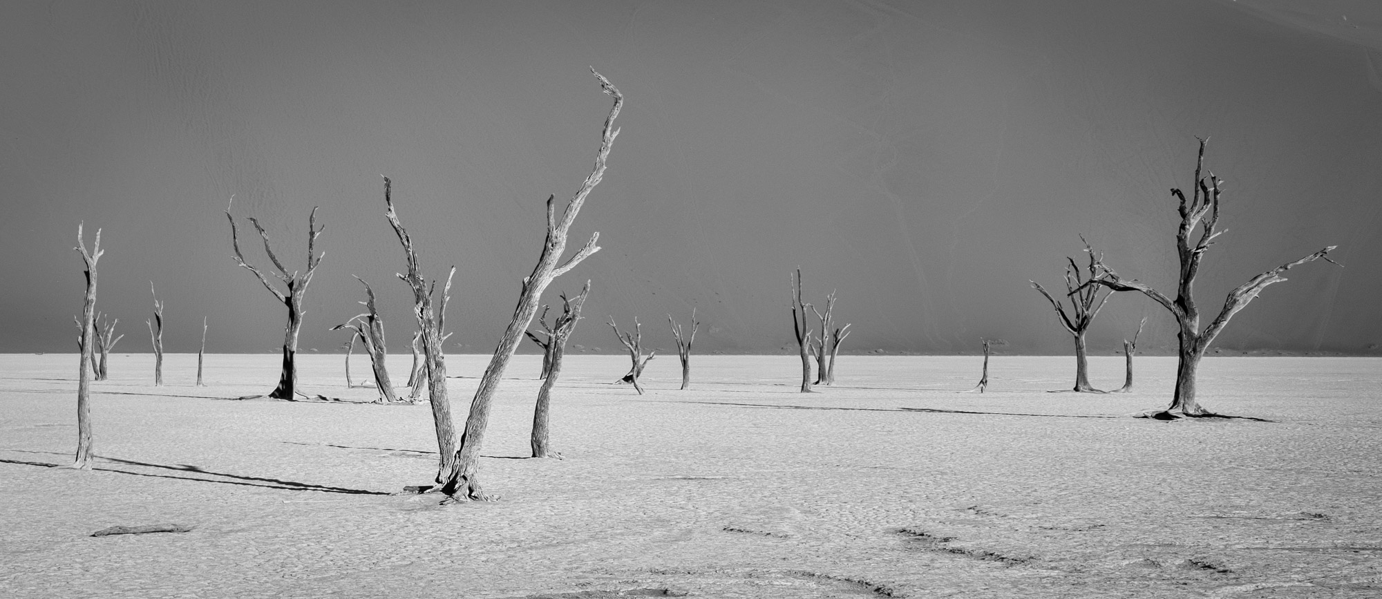 Namibia_Landscapes-18.jpg