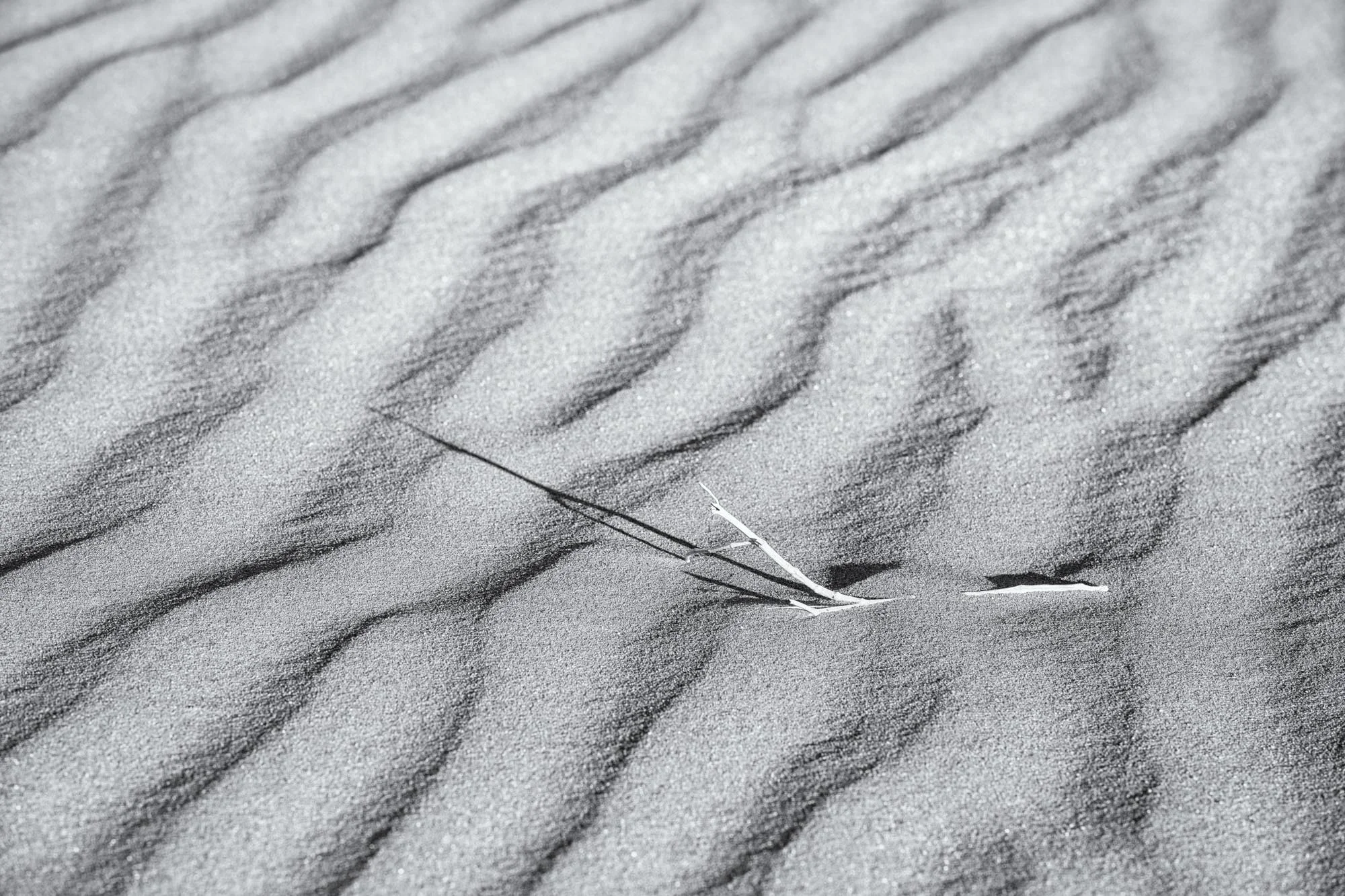 Namibia_Landscapes-34.jpg