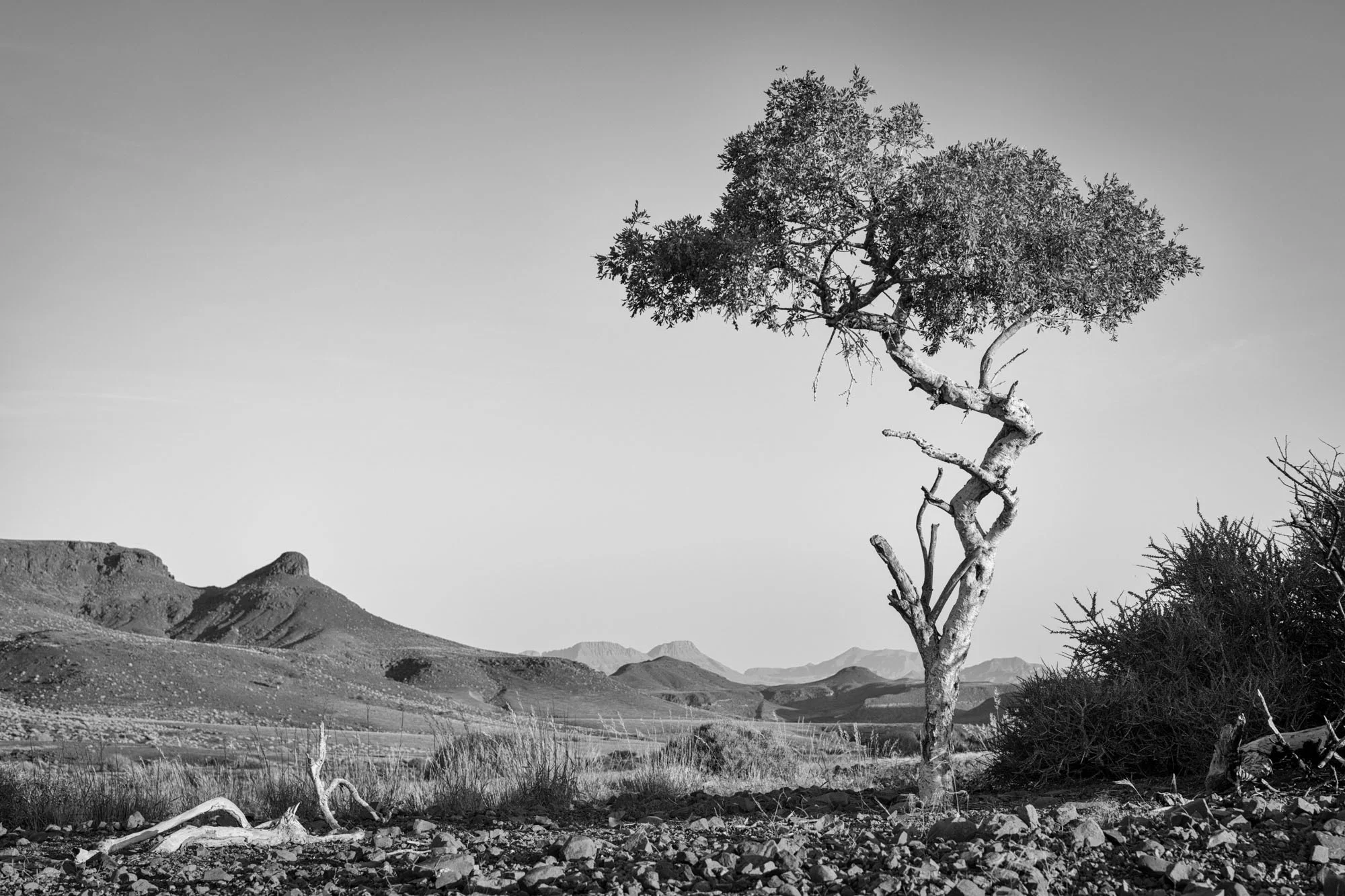 Namibia_Landscapes-36.jpg