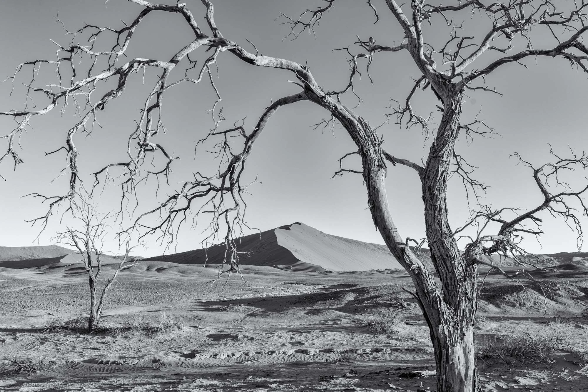 Namibia_Landscapes-38.jpg