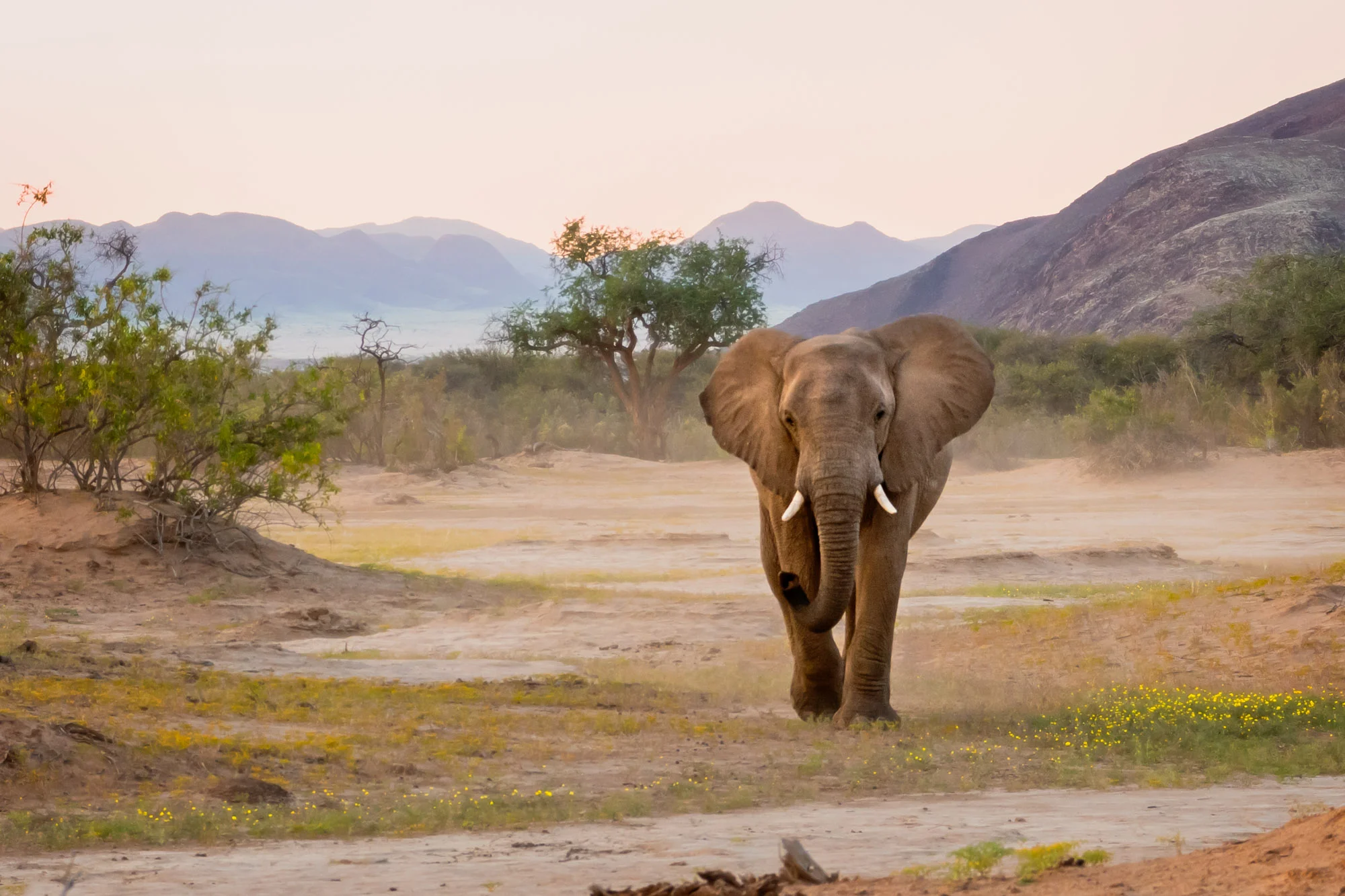 Namibia_Landscapes-41.jpg