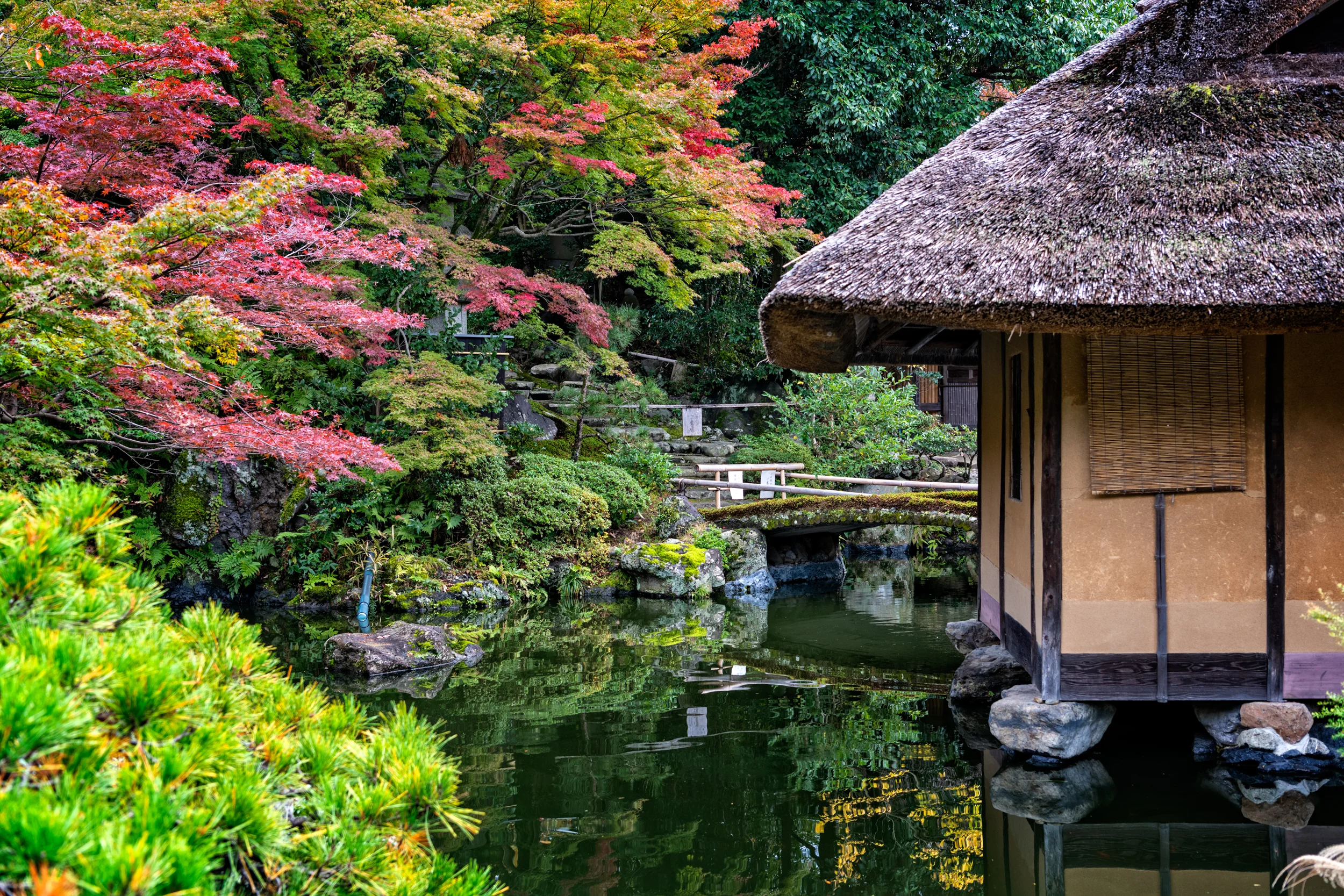 D85_5953-Edit.jpg