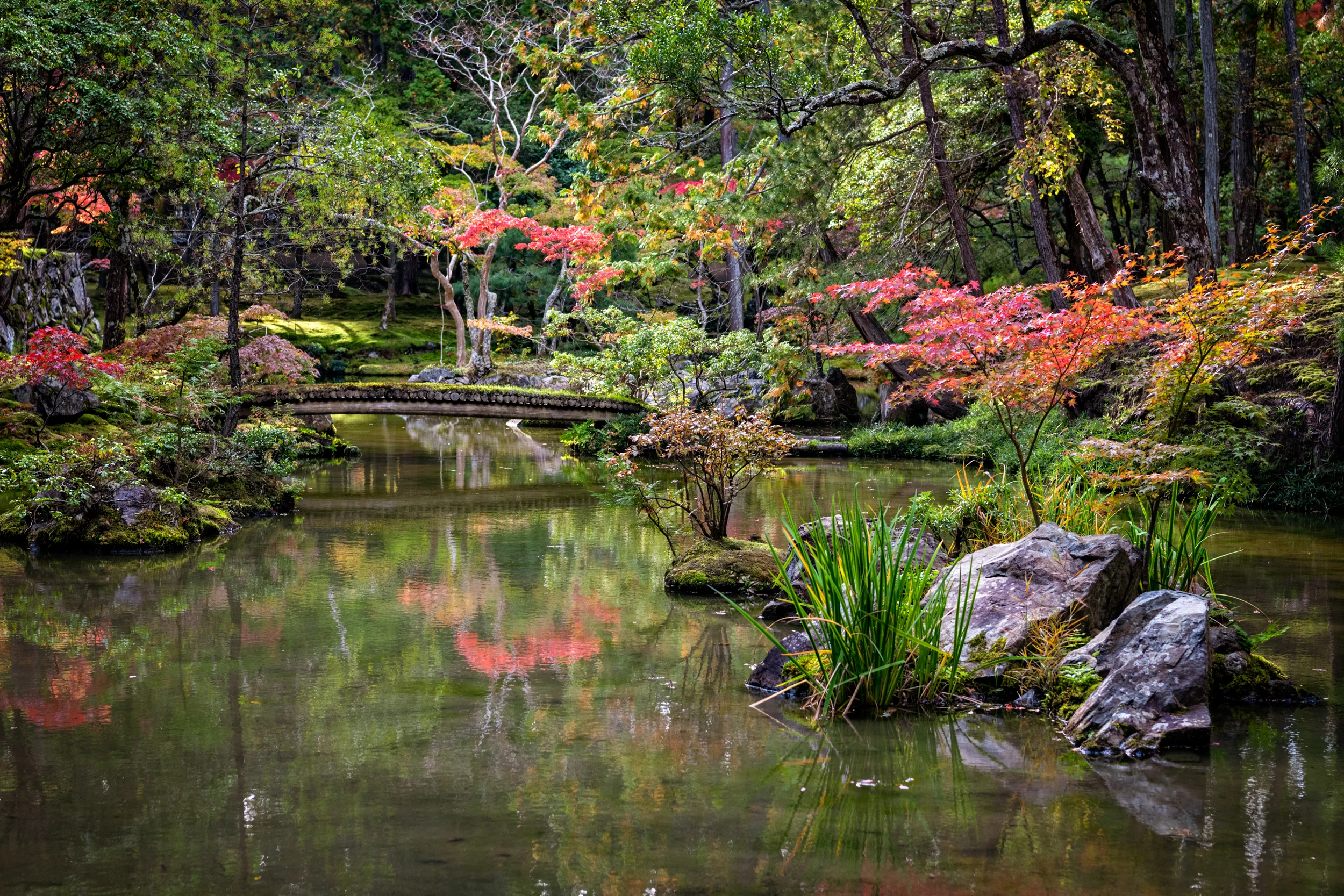 D85_6113-Edit.jpg