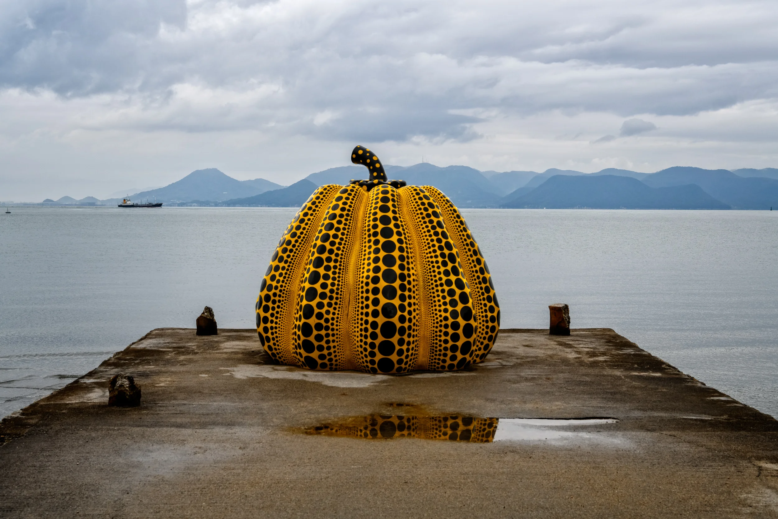D85_6767-Edit.jpg