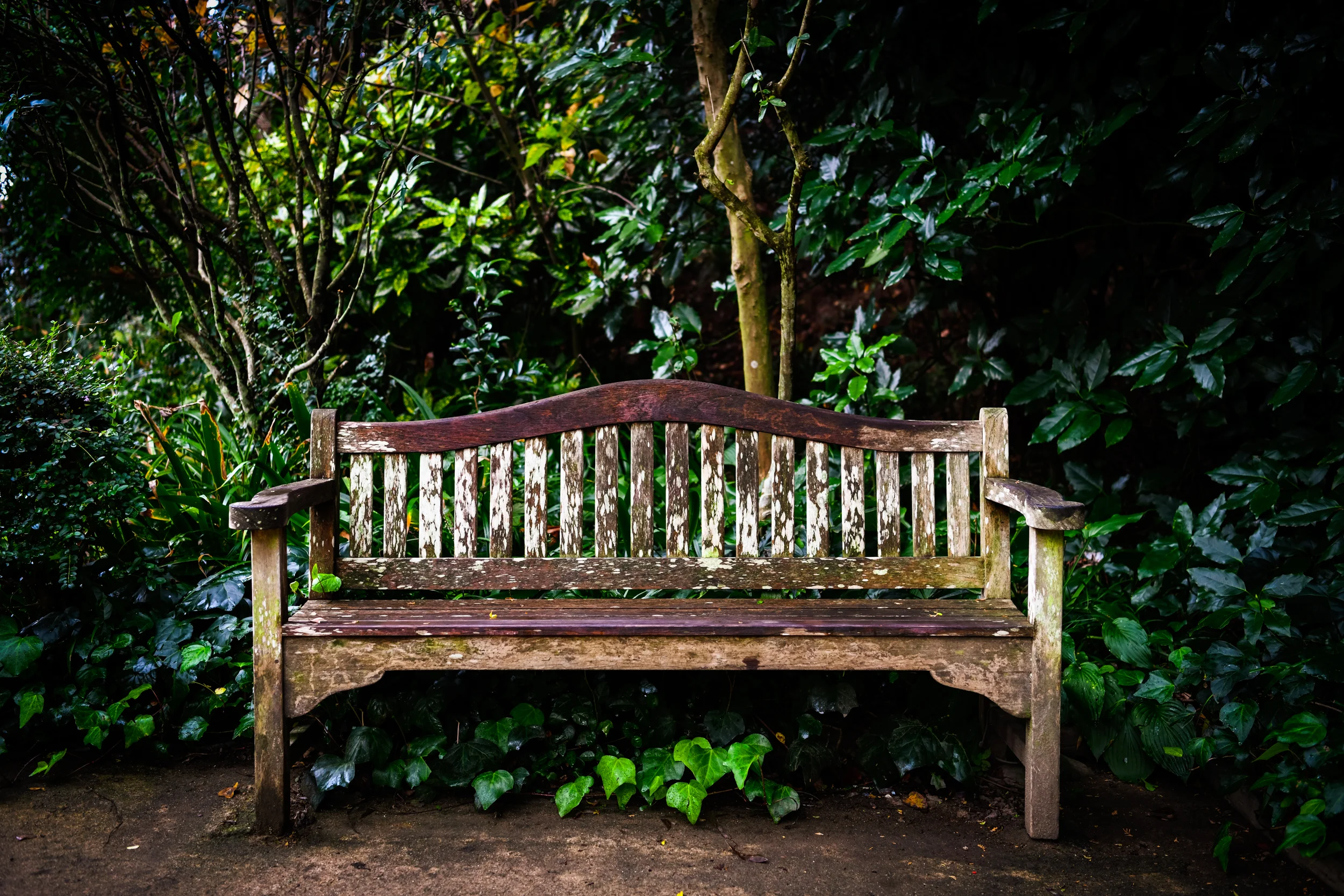 D85_6800.jpg
