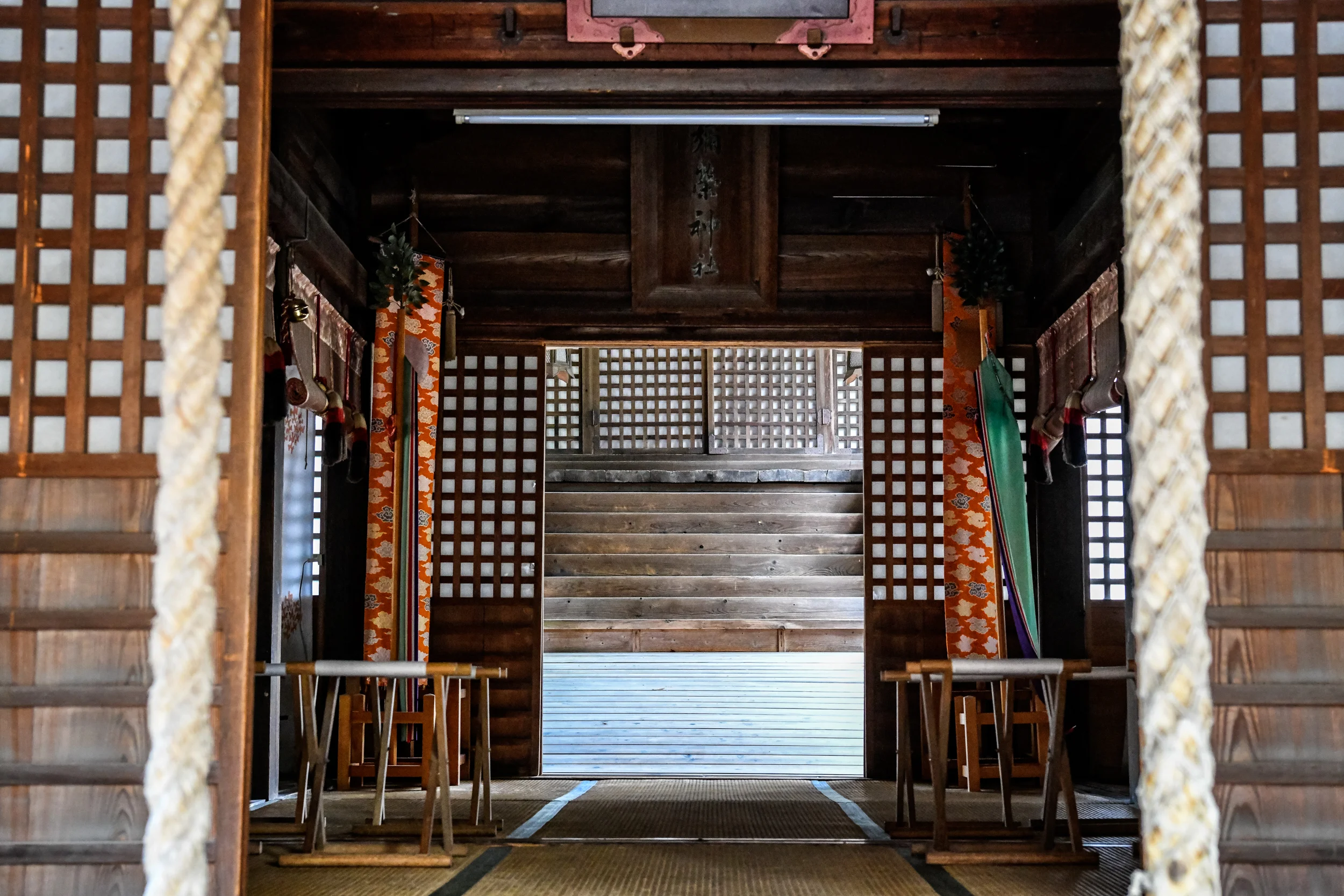 D85_7430-Edit.jpg