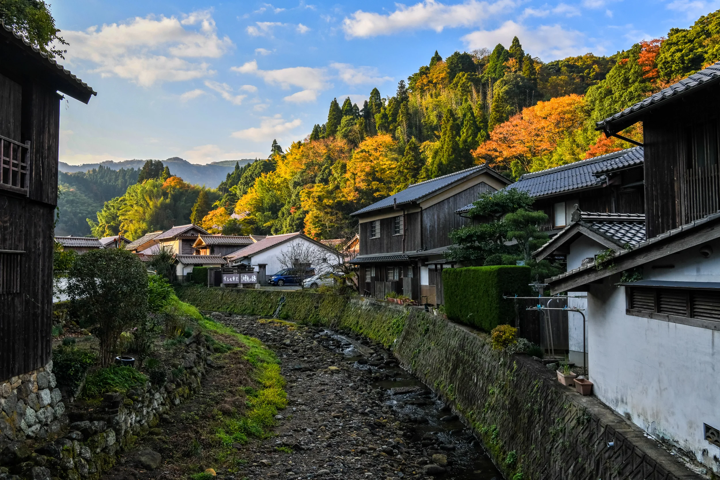 D85_7530-Edit.jpg