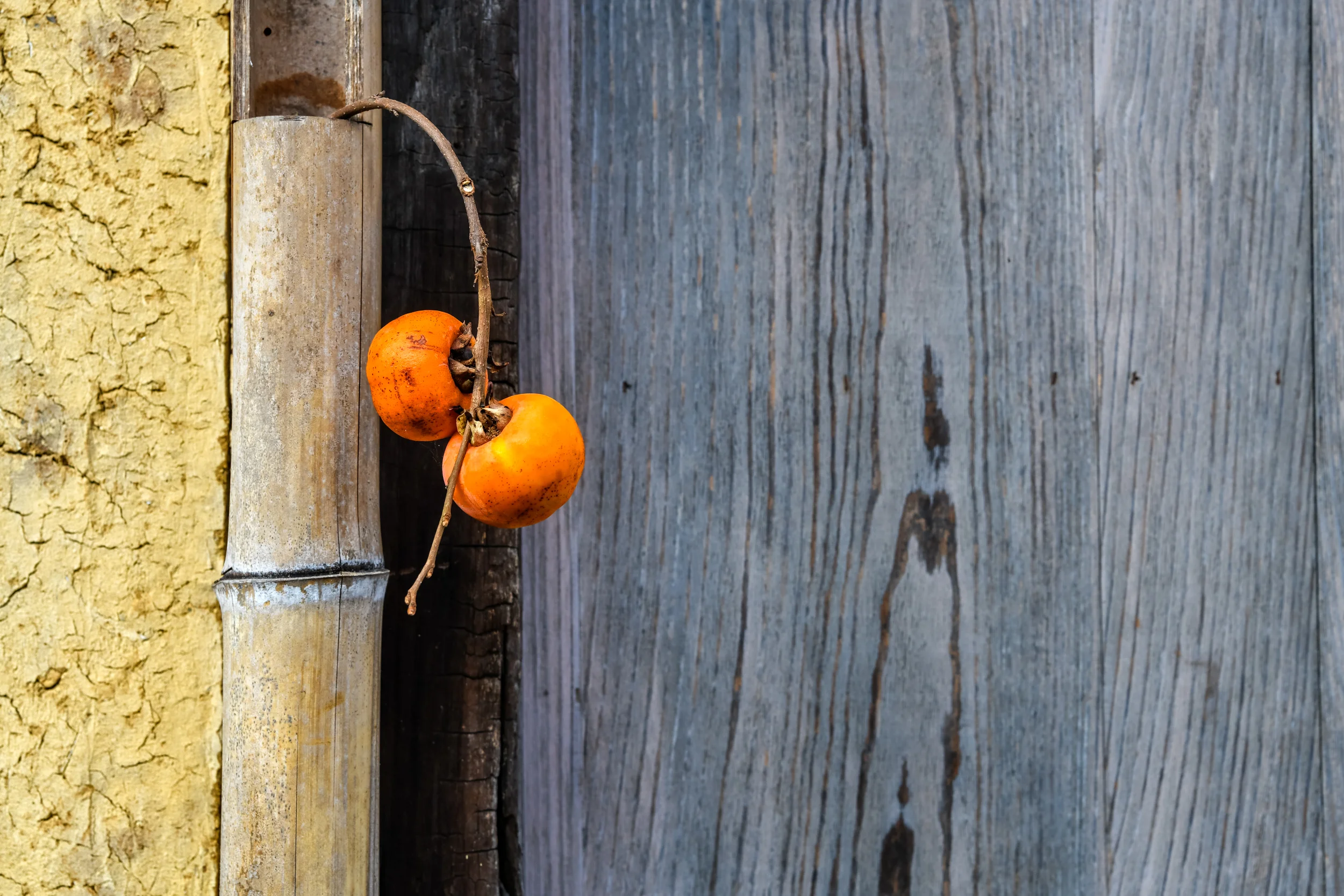 D85_7567-Edit.jpg