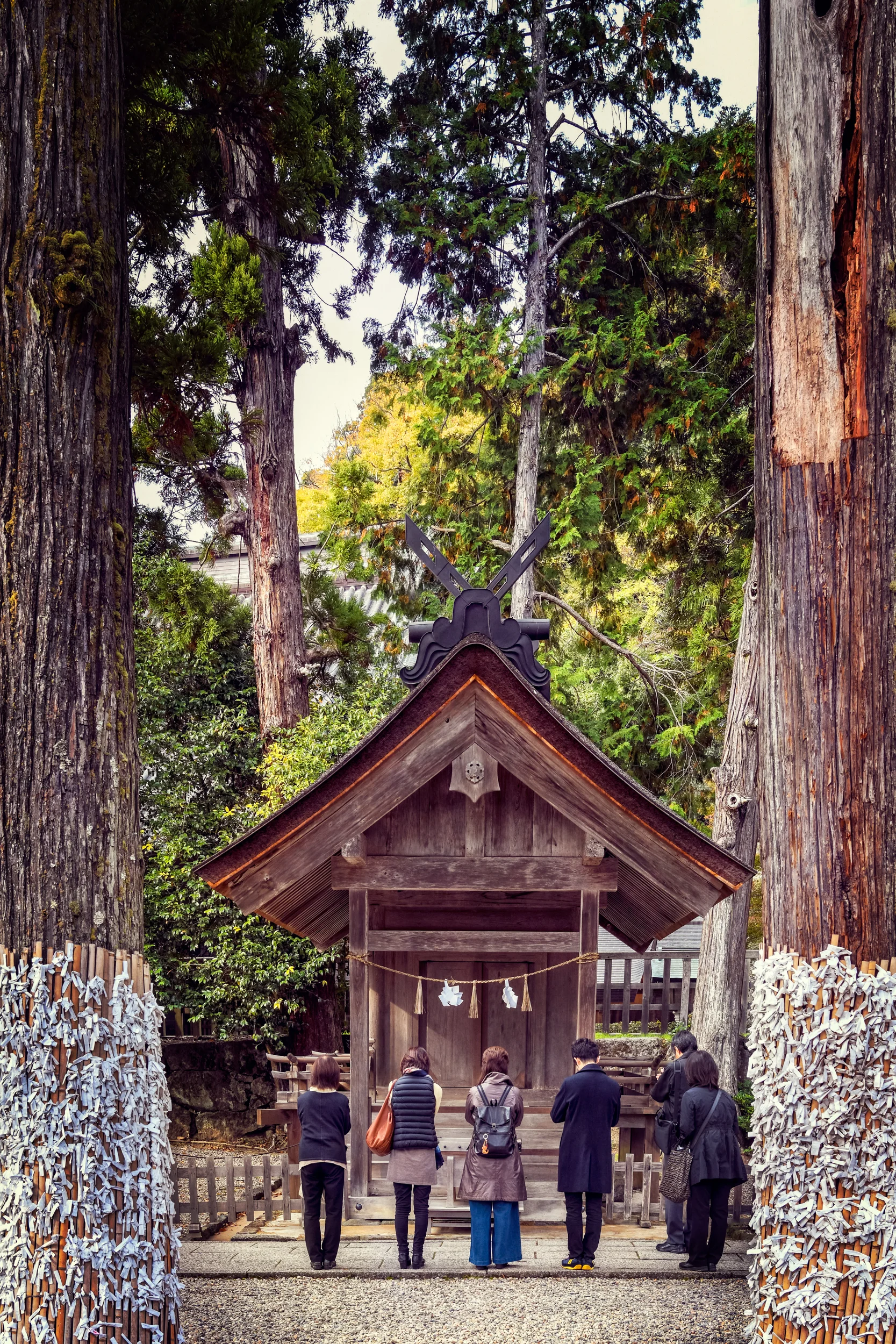 D85_7987-Edit.jpg
