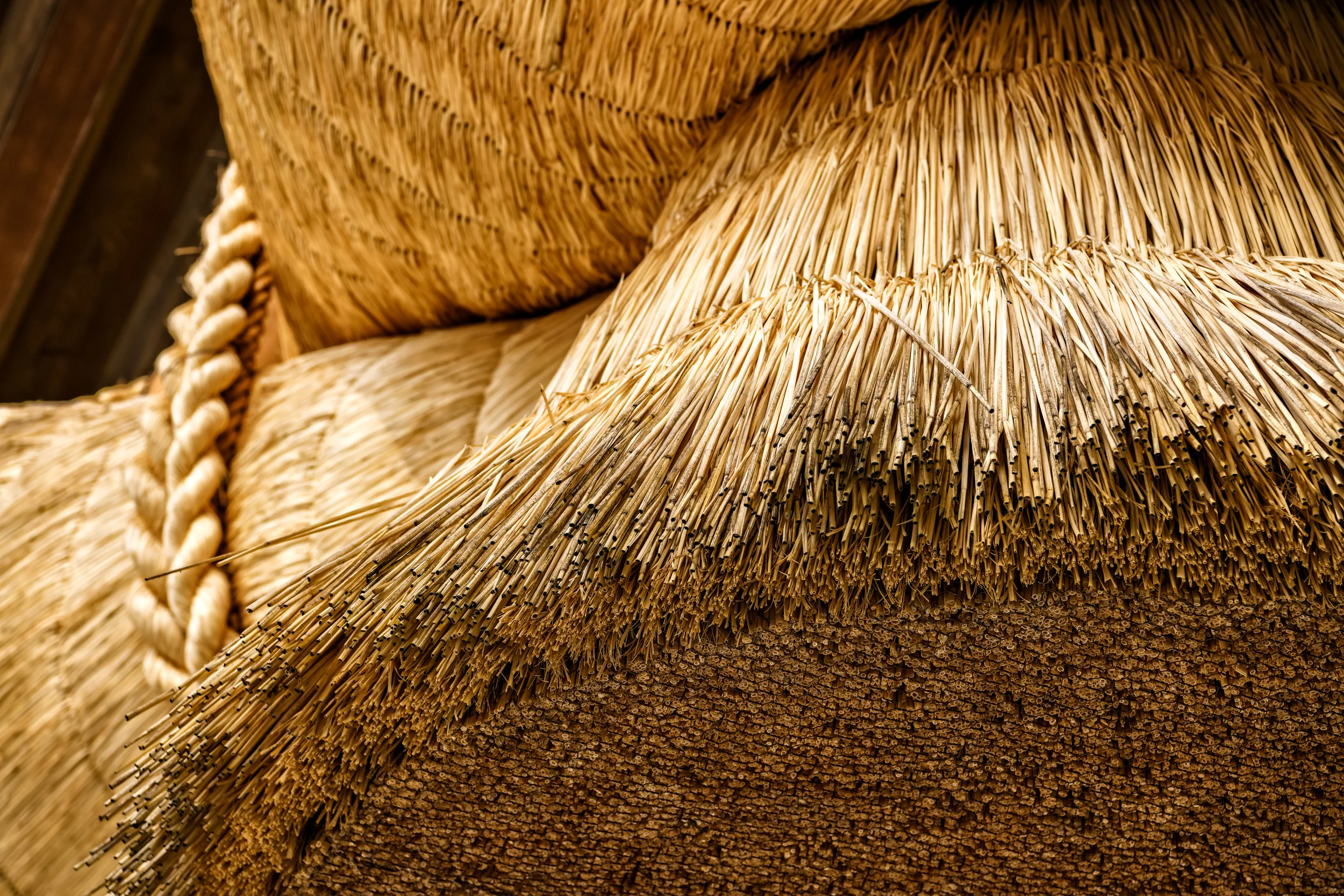 D85_8002-Edit.jpg