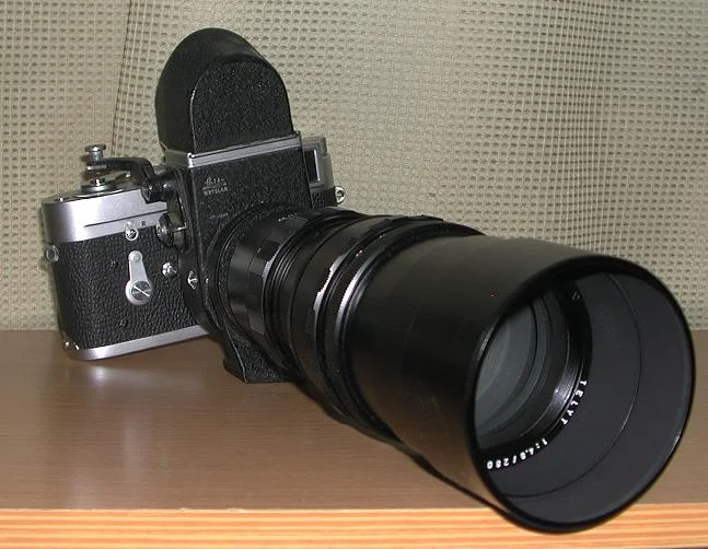 My Little Friend 2.JPG