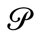 P1.gif