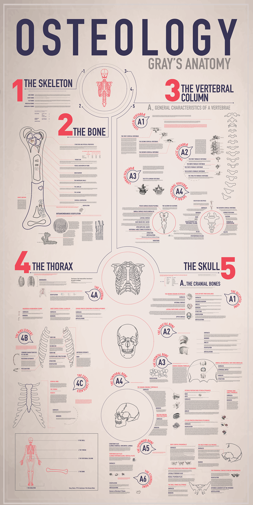 Emmy De Leon graphic infographics Los angeles