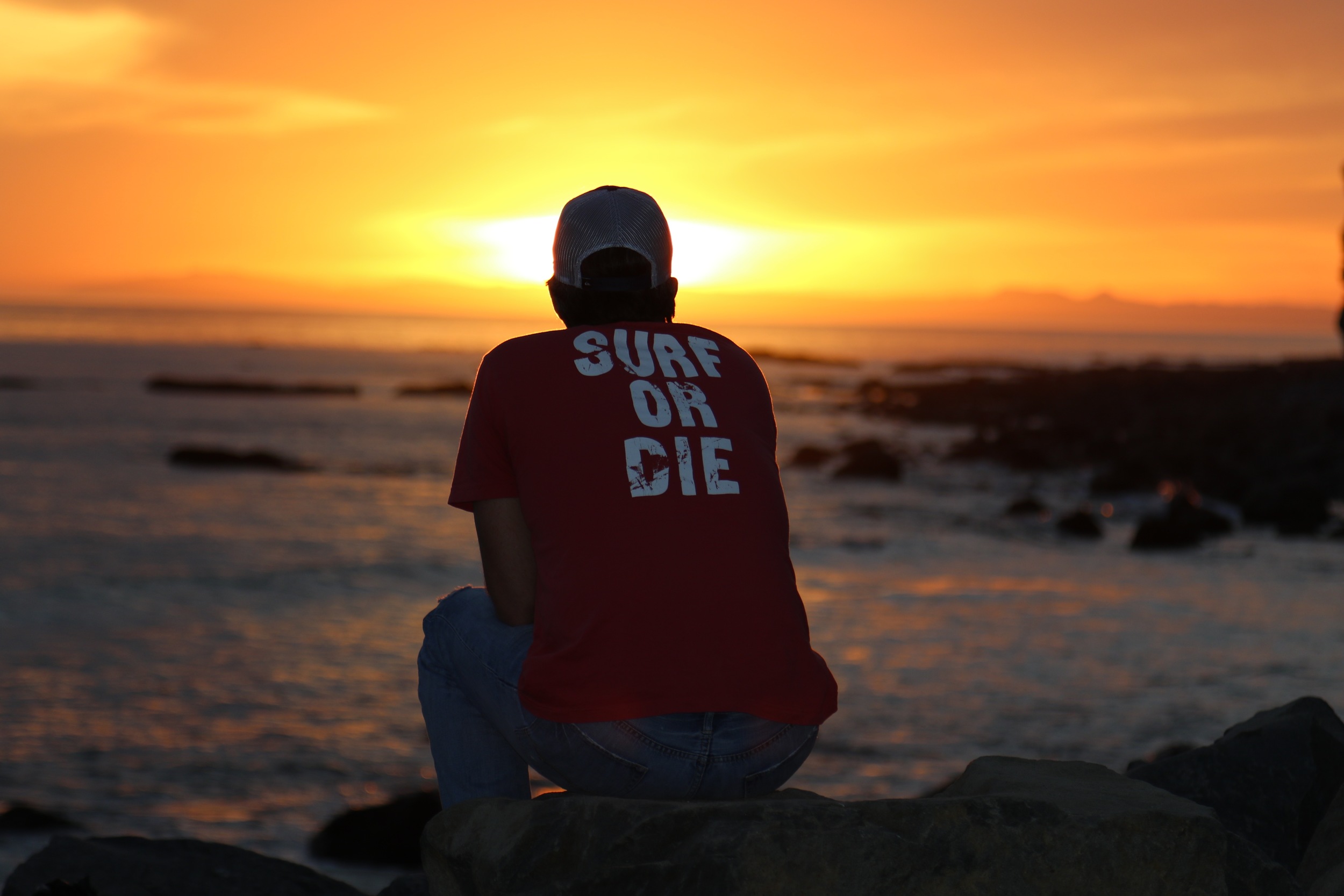 Surf or Die