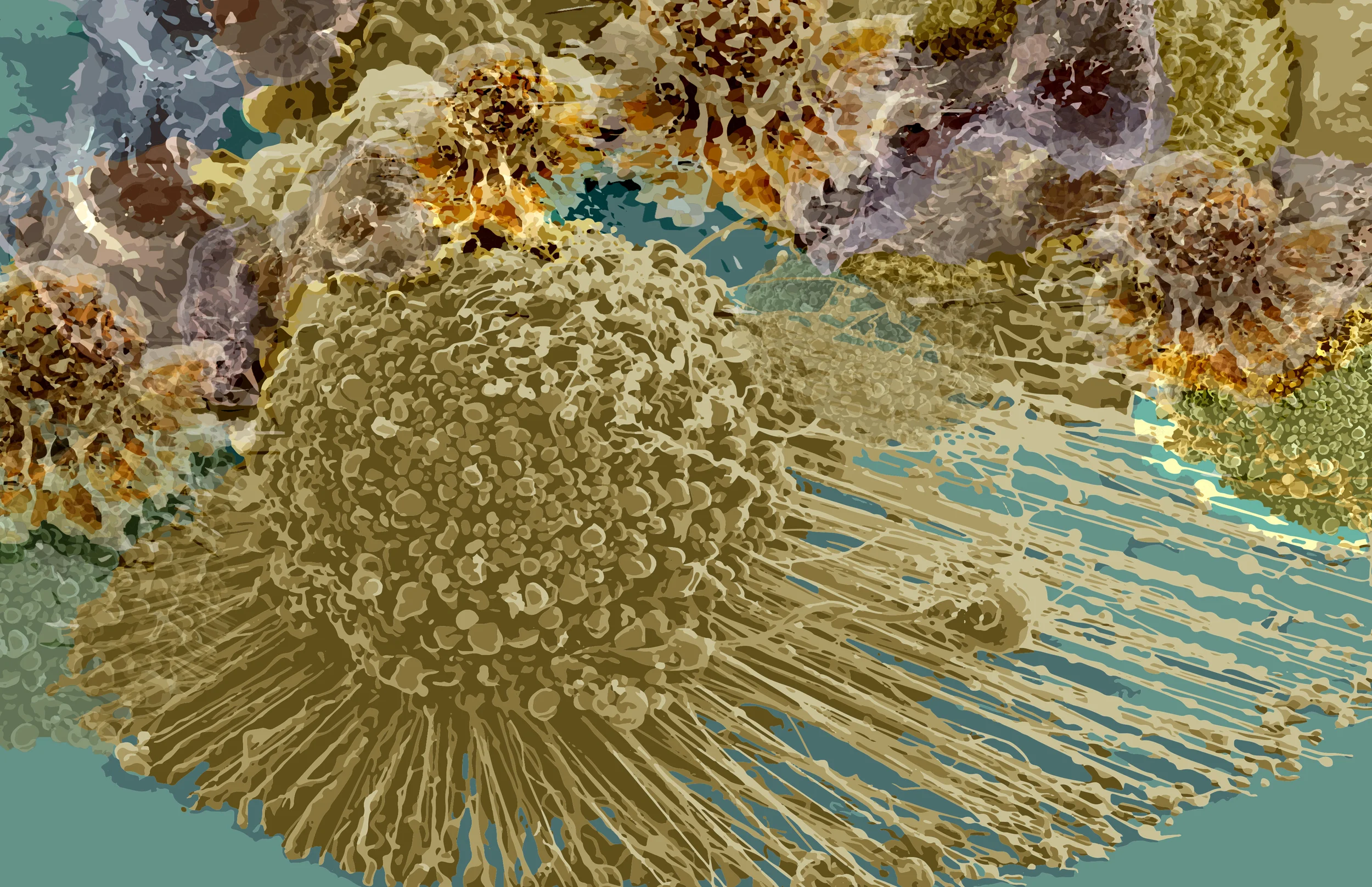  Digital Collage, 2015 