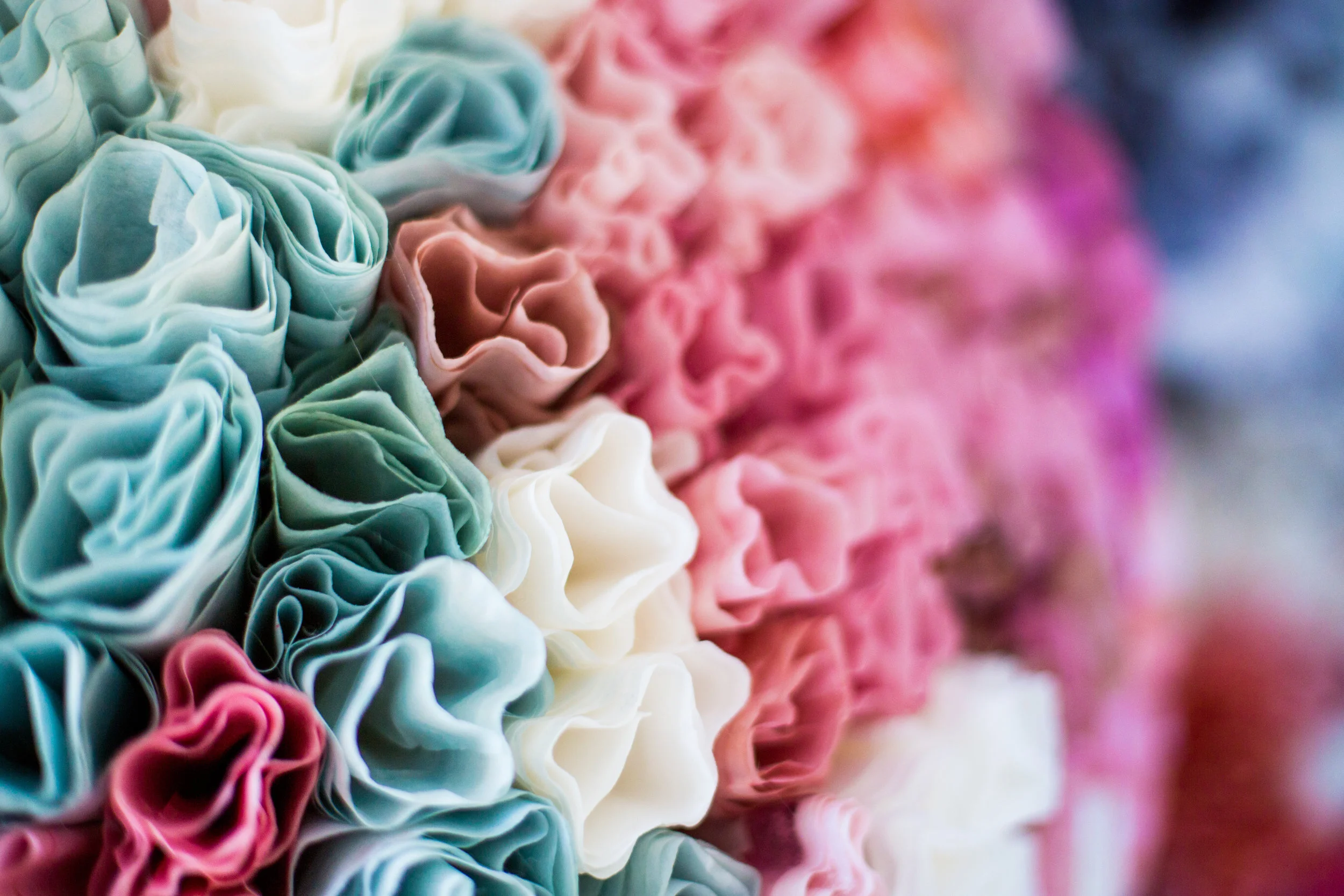 Detail of Proliferate