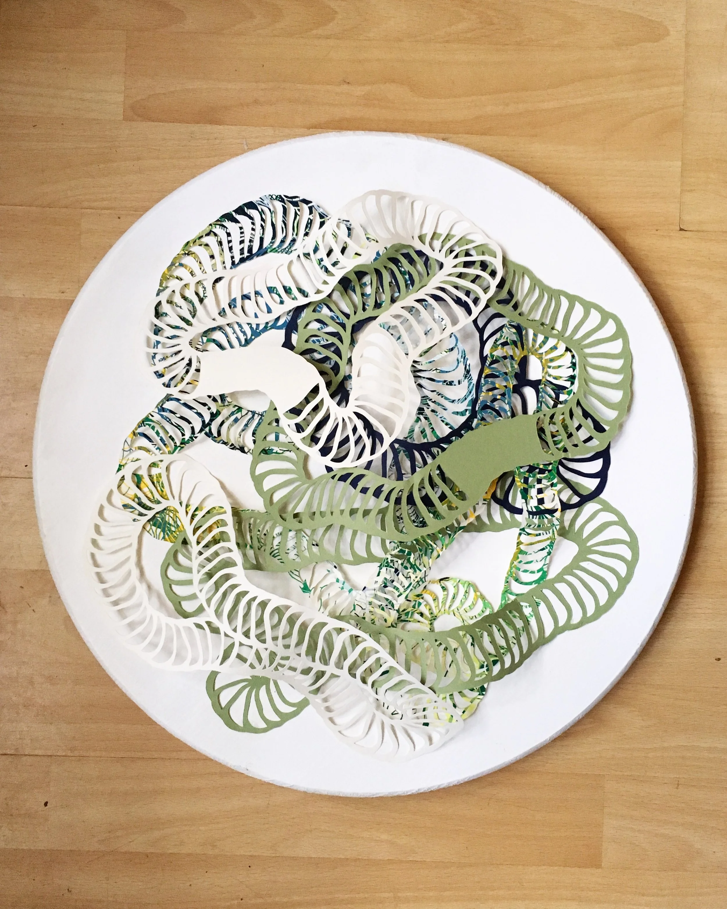   Petri Dish No.1,  2017  Cut paper and screen printed cut paper on wood panel 