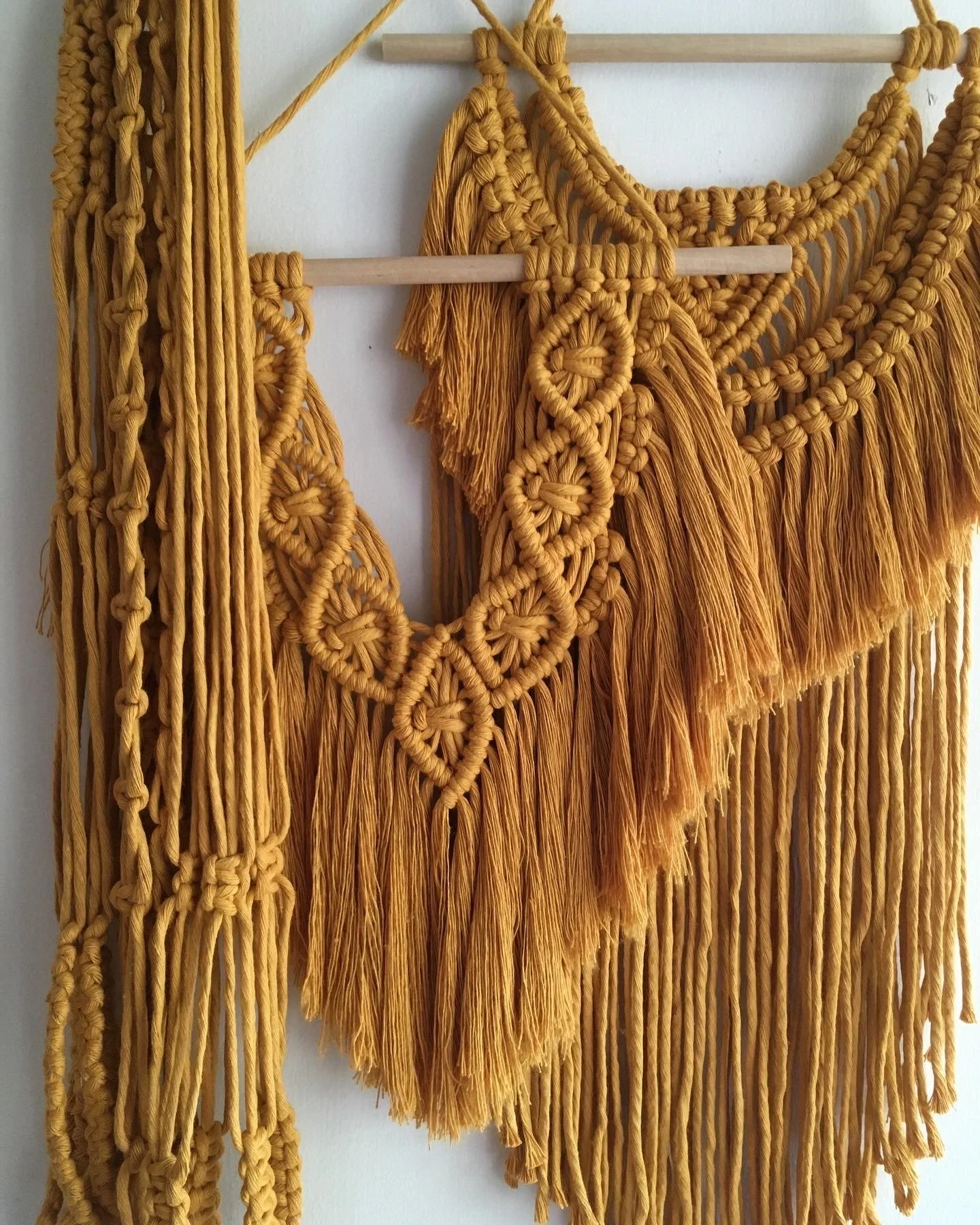 elise_image2 (1).JPG