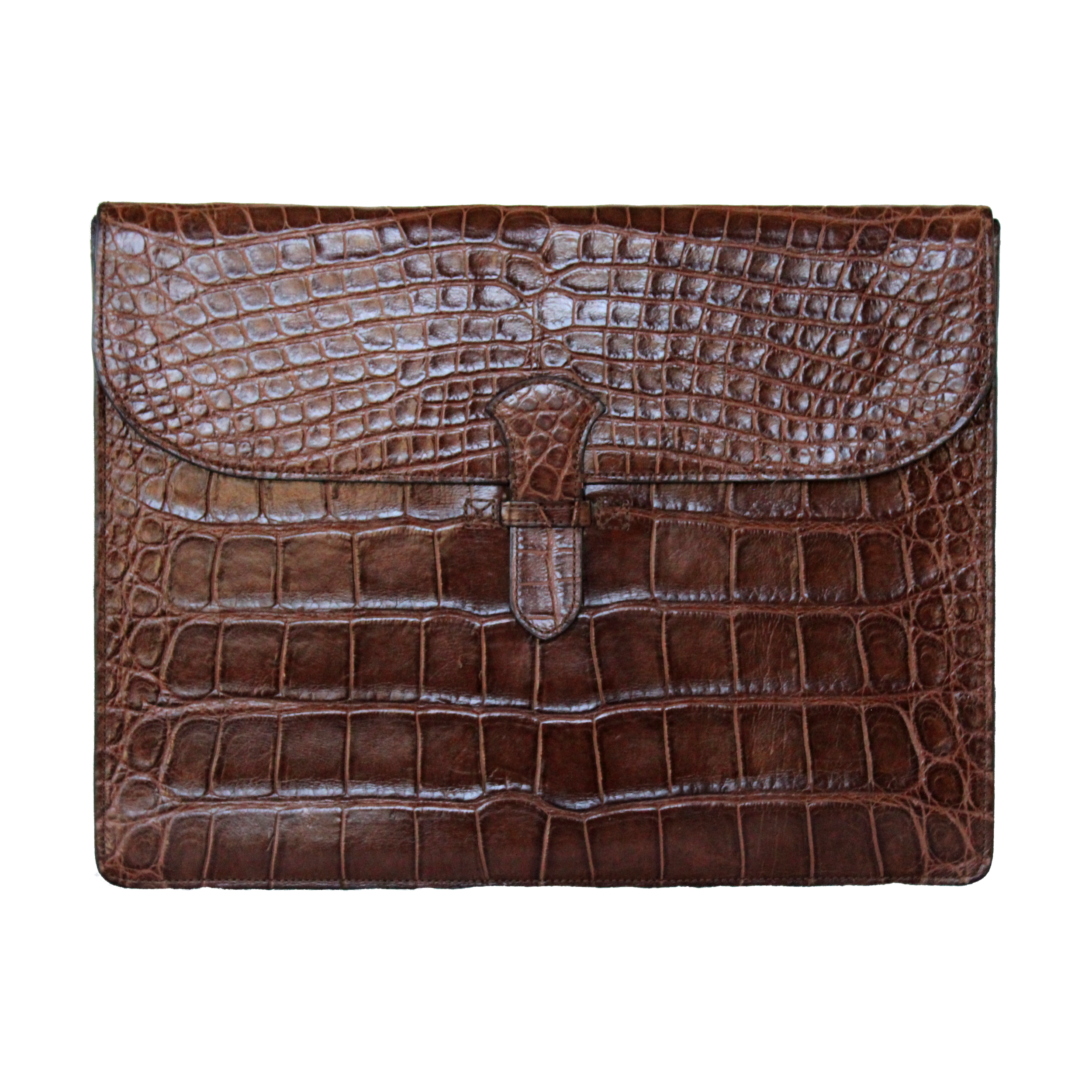 The Laptop Portfolio in North American Alligator