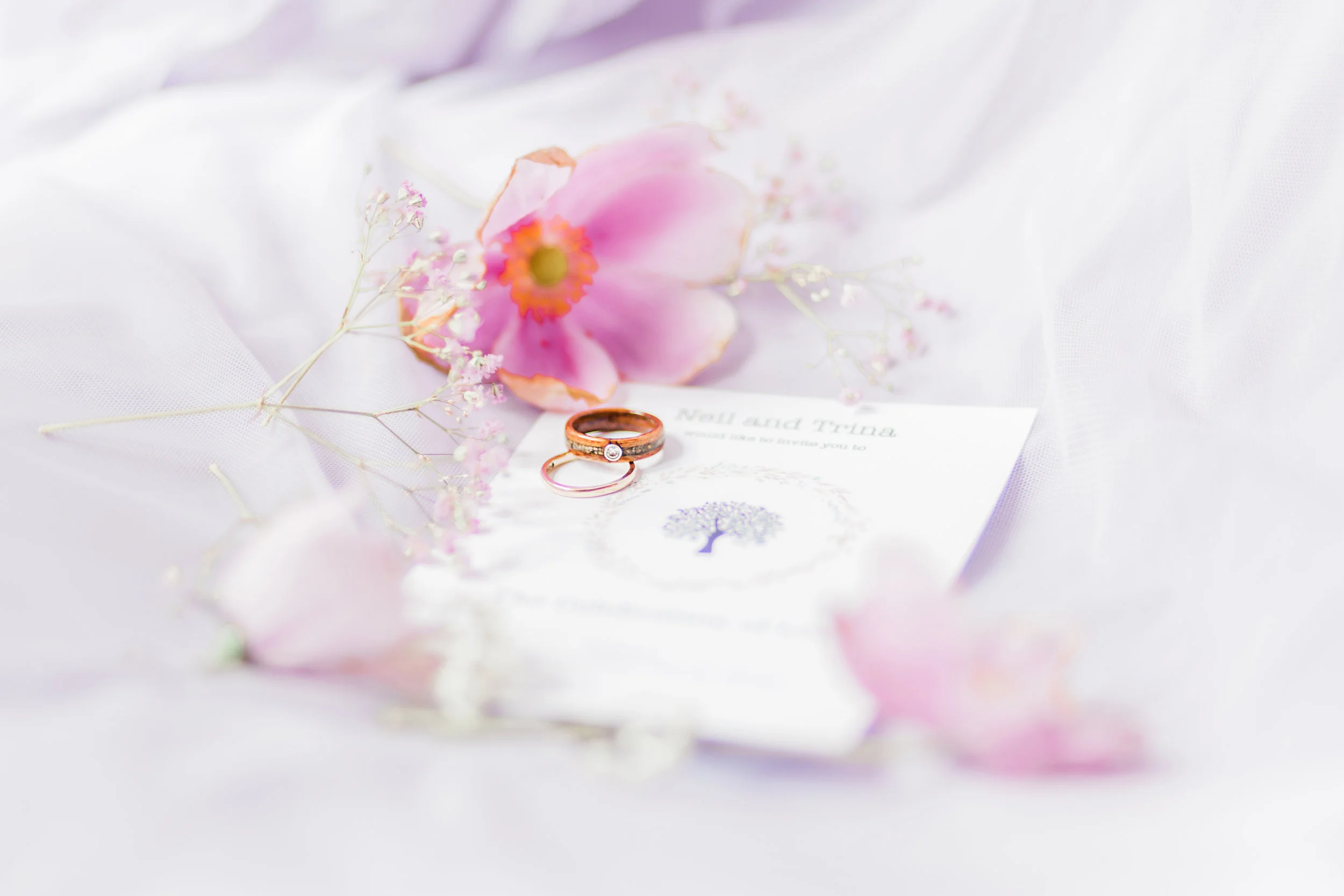 Trina and Neil-52.jpg