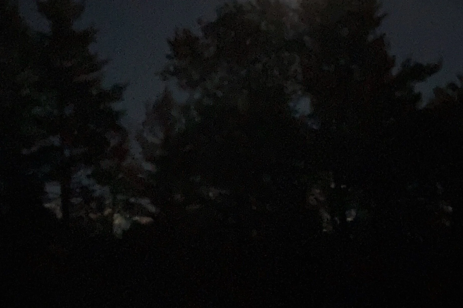 62329652903__8C0B882B-6886-4E4E-8B84-C1BF89D57332.jpg