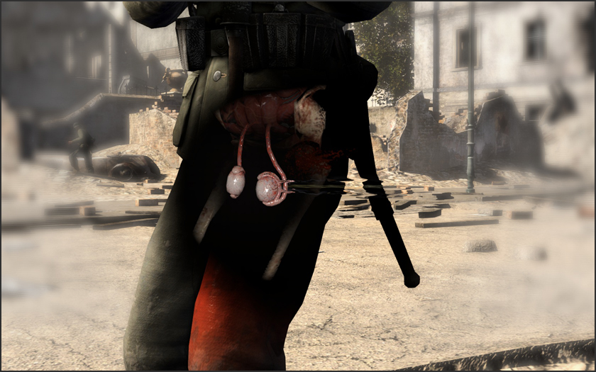 Psst, you can also shoot Hitler in the balls in Sniper Elite III