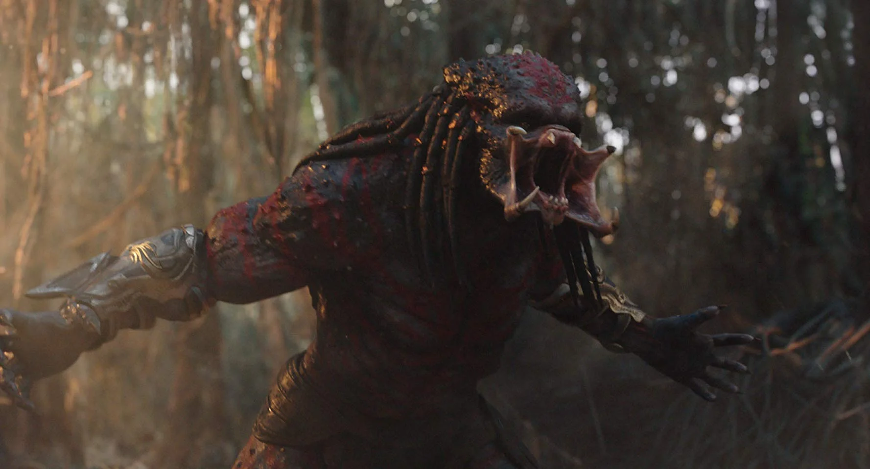 the predator - 3.jpg