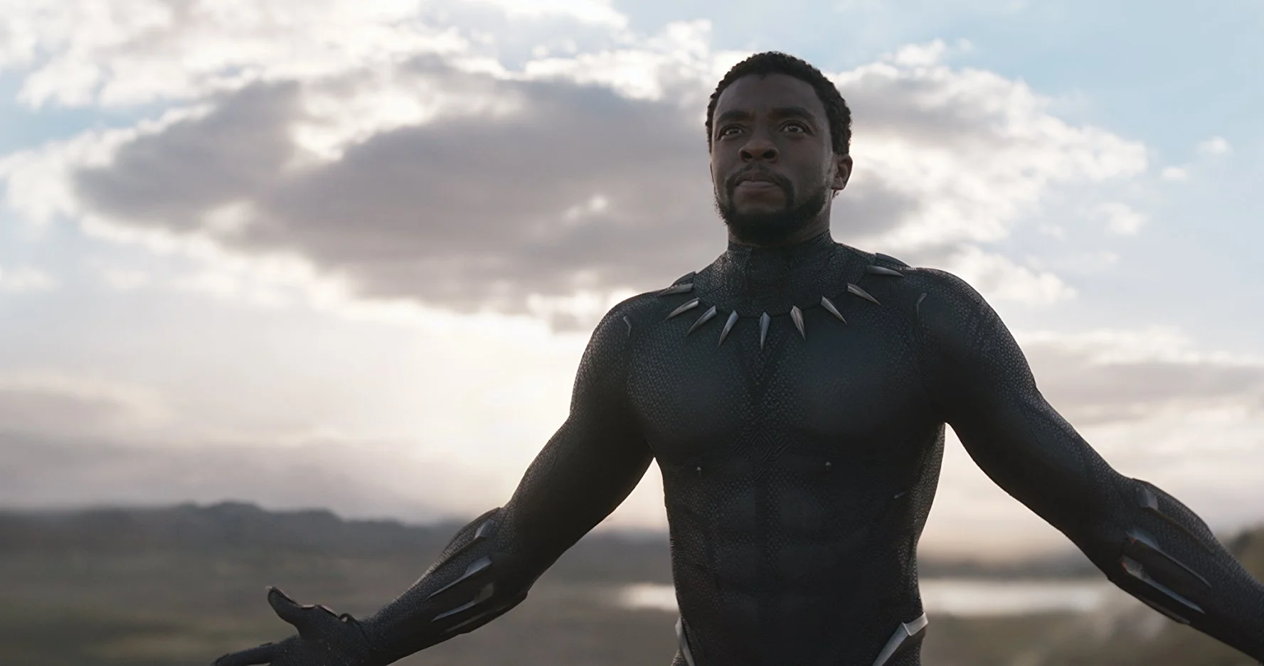 black panther - 6.jpg